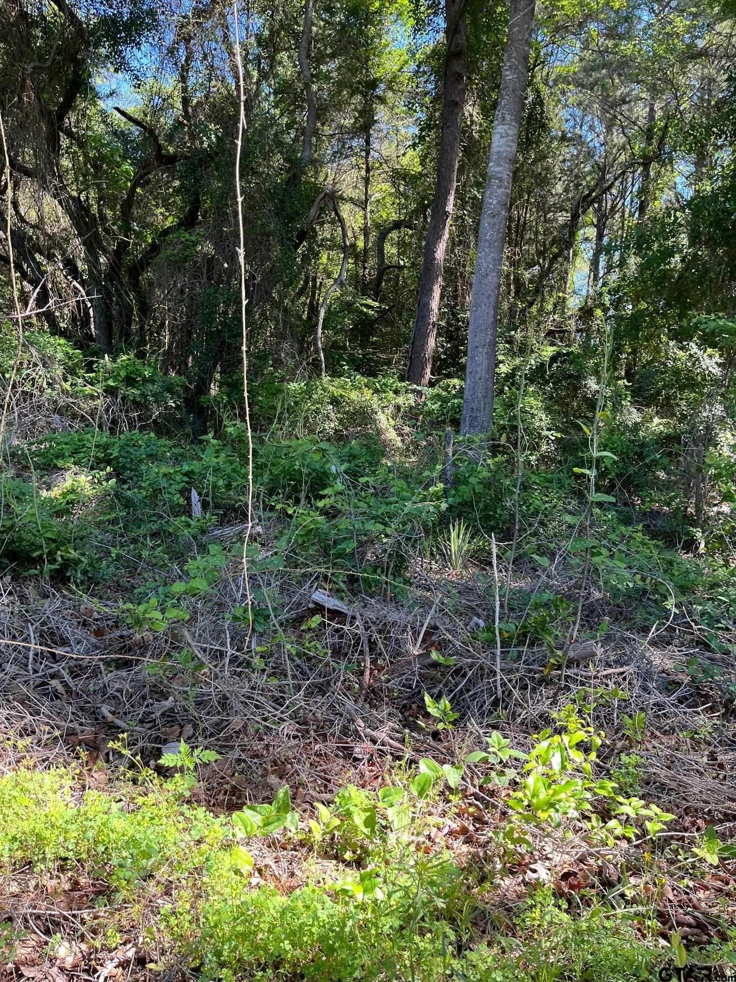 14.97 acres in Wood County featured view
