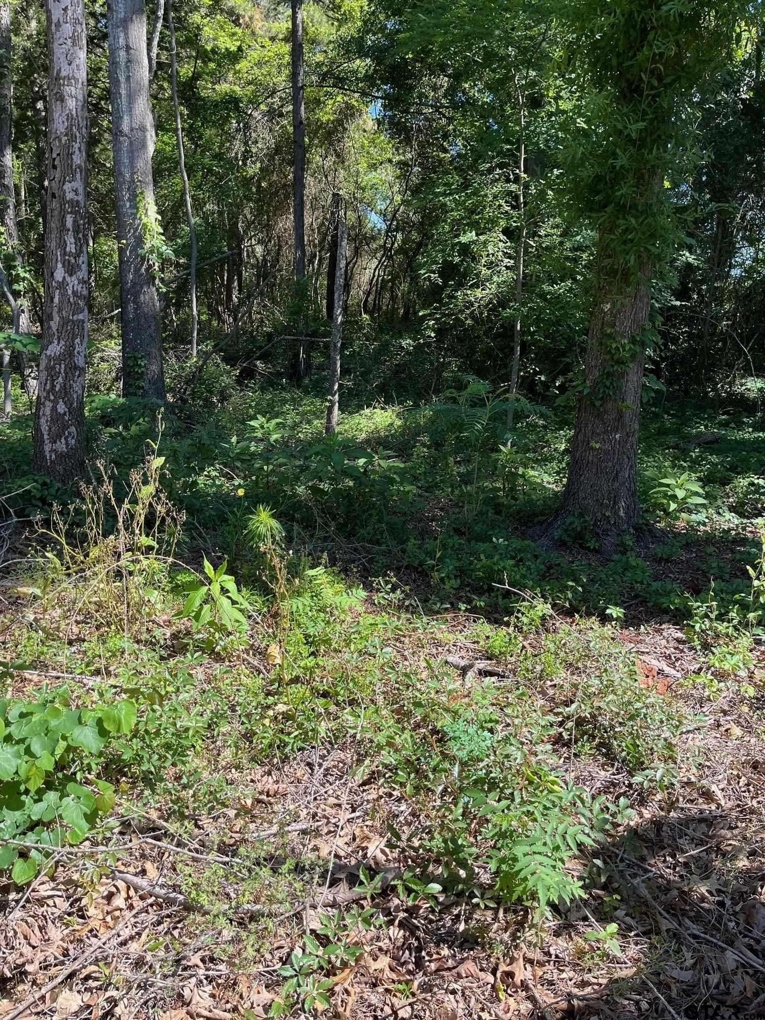 14.97 acres in Wood County