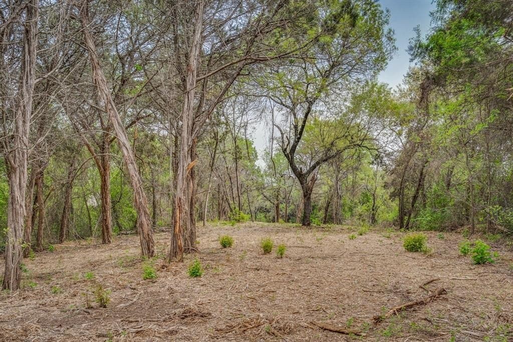 0.31 acres in Johnson County gallery image 2