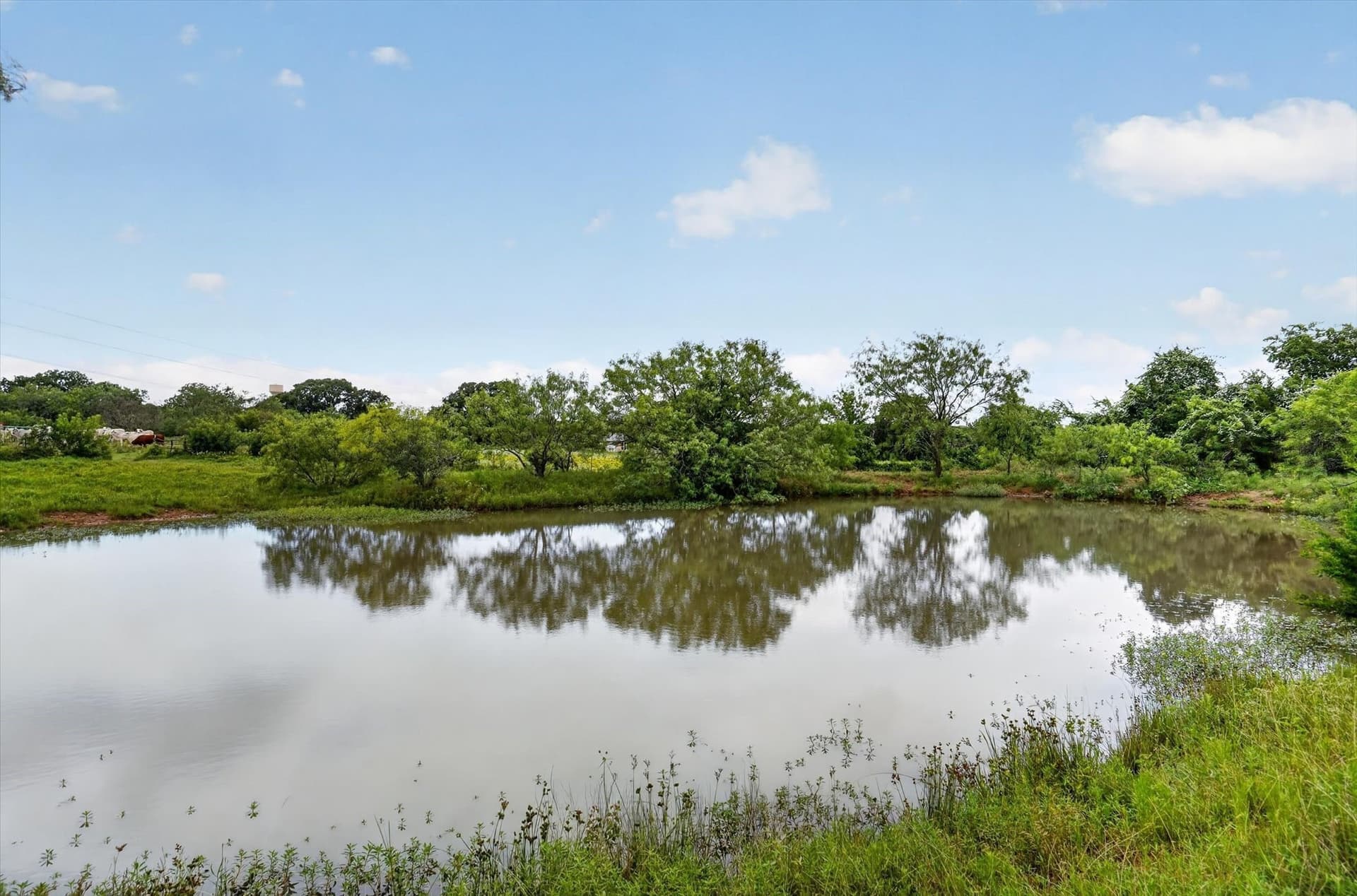 20.92 acres in Johnson County - photo 7
