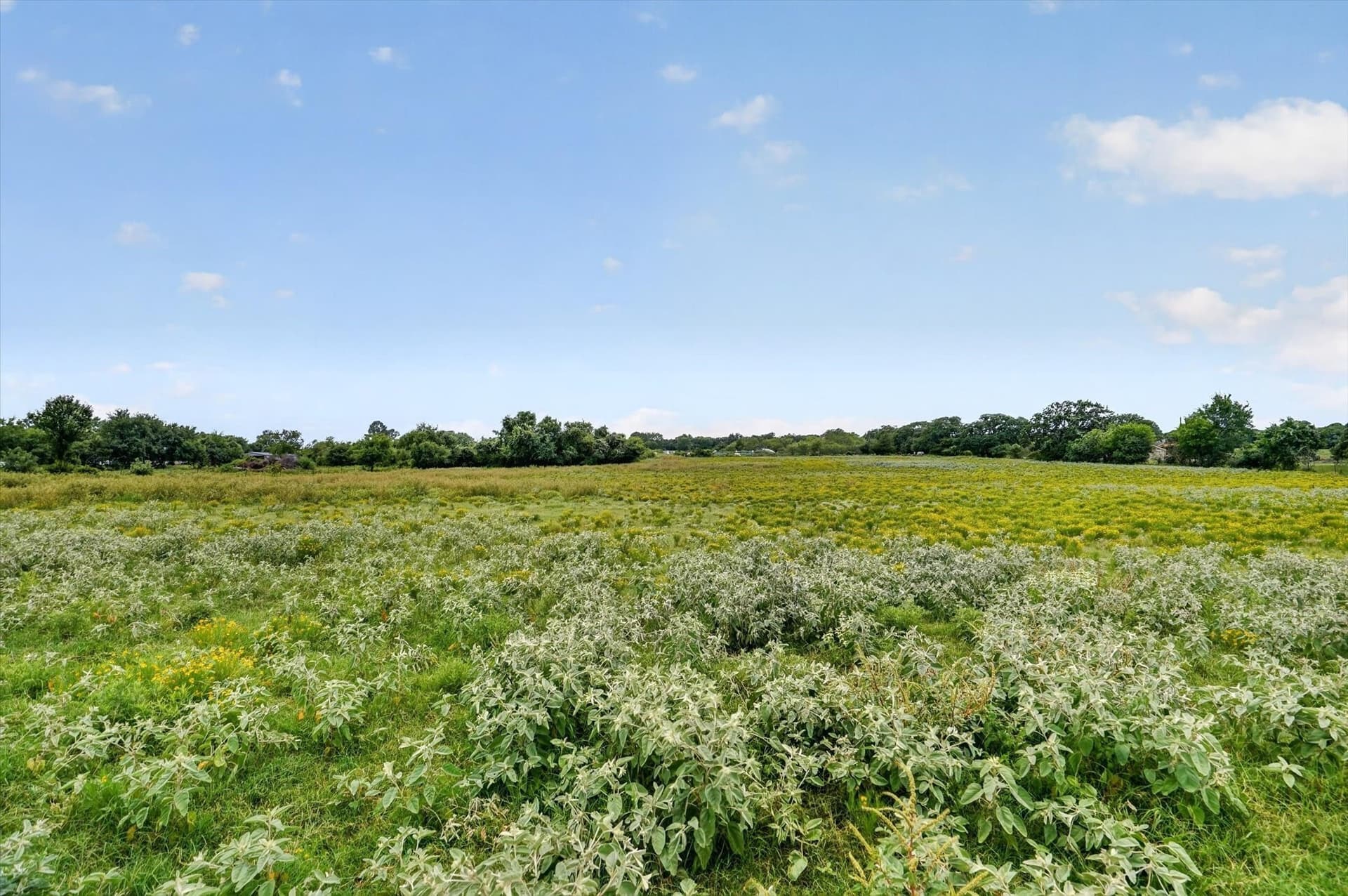 20.92 acres in Johnson County featured view