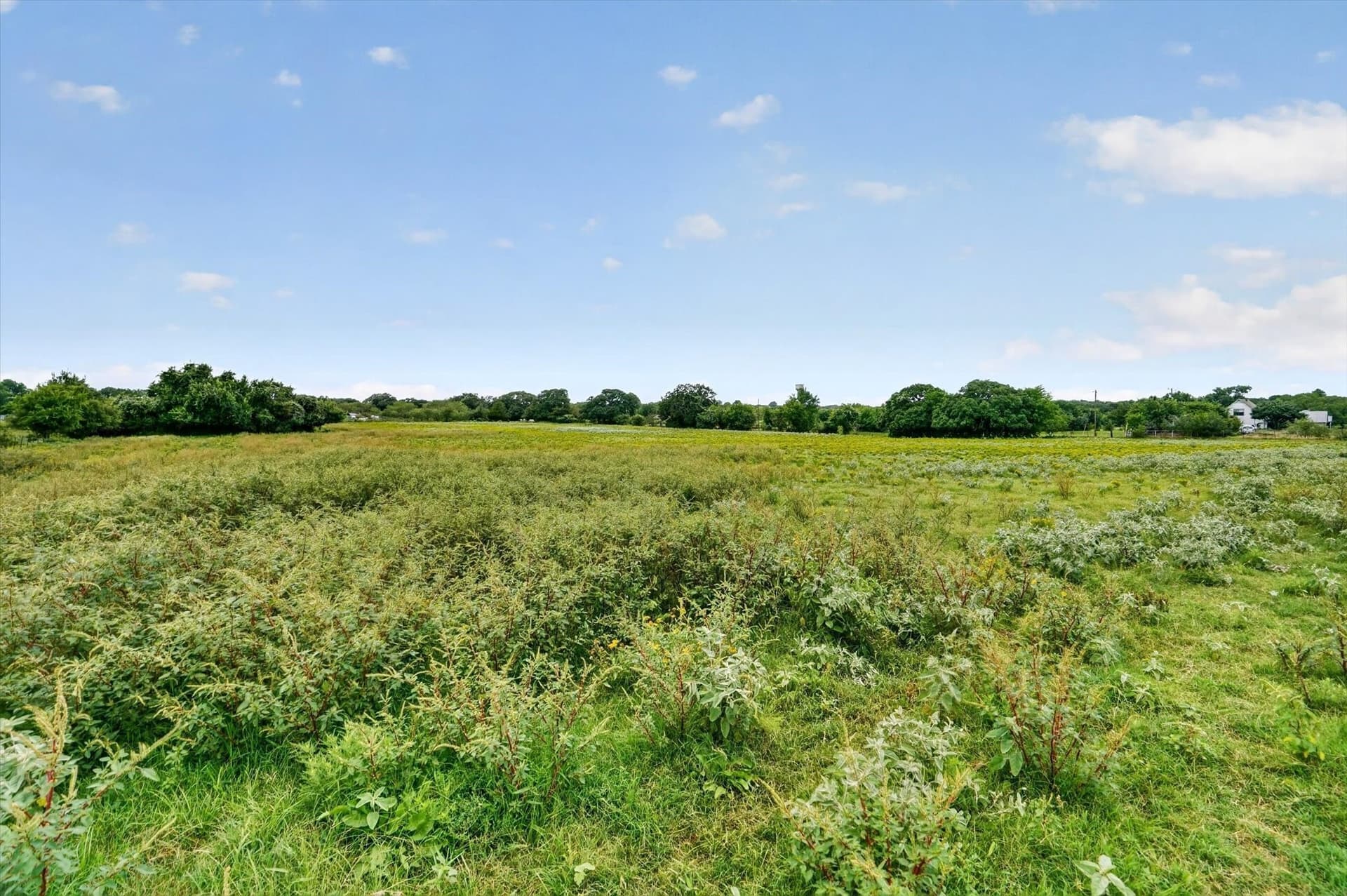 20.92 acres in Johnson County gallery image 3