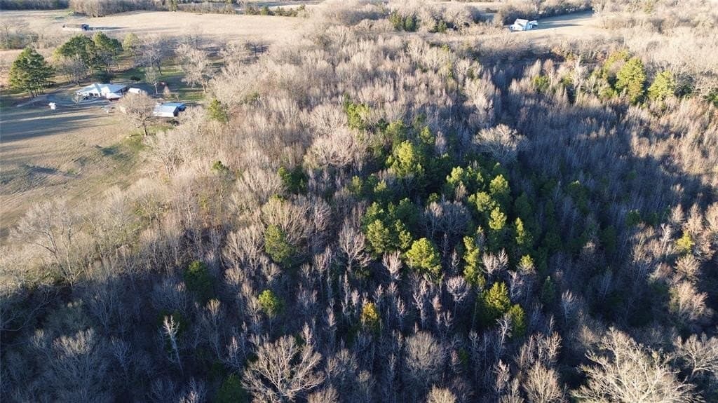 16.45 acres in Titus County featured view