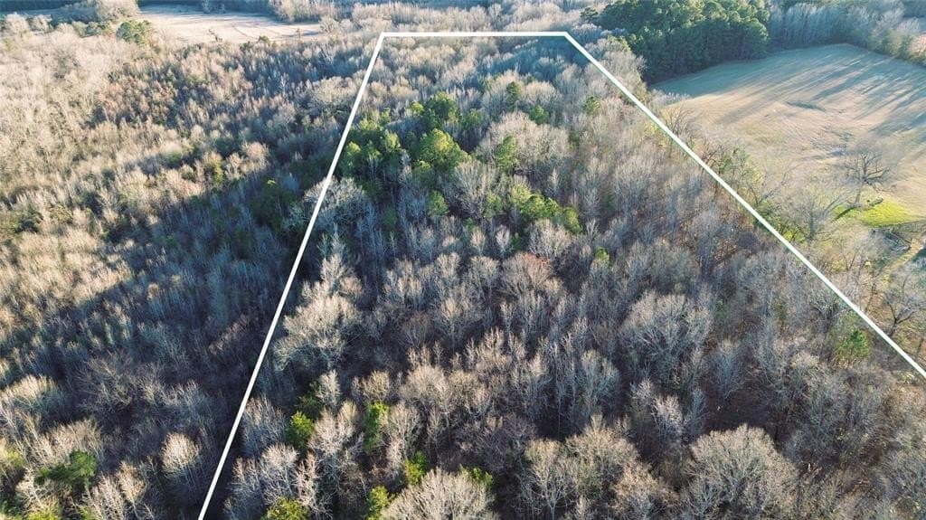 16.45 acres in Titus County gallery image 3