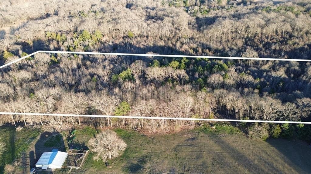 16.45 acres in Titus County gallery image 2