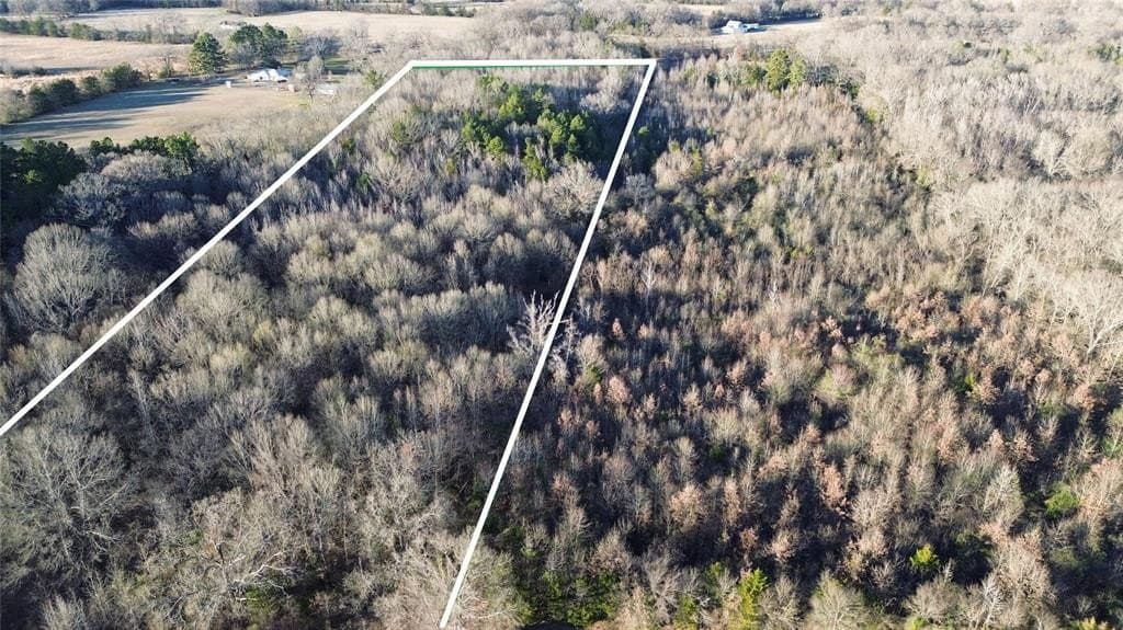 16.45 acres in Titus County gallery image 4
