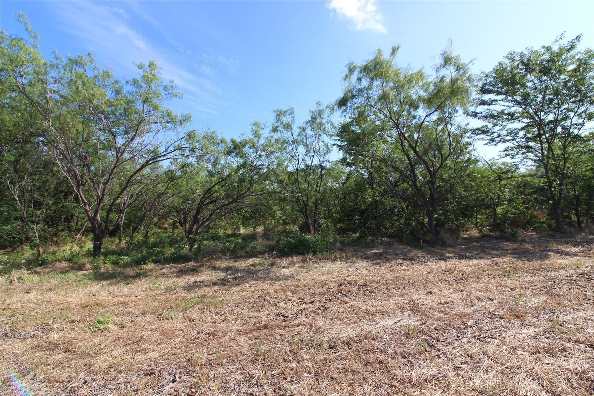 1.51 acres in Kaufman County gallery image 4