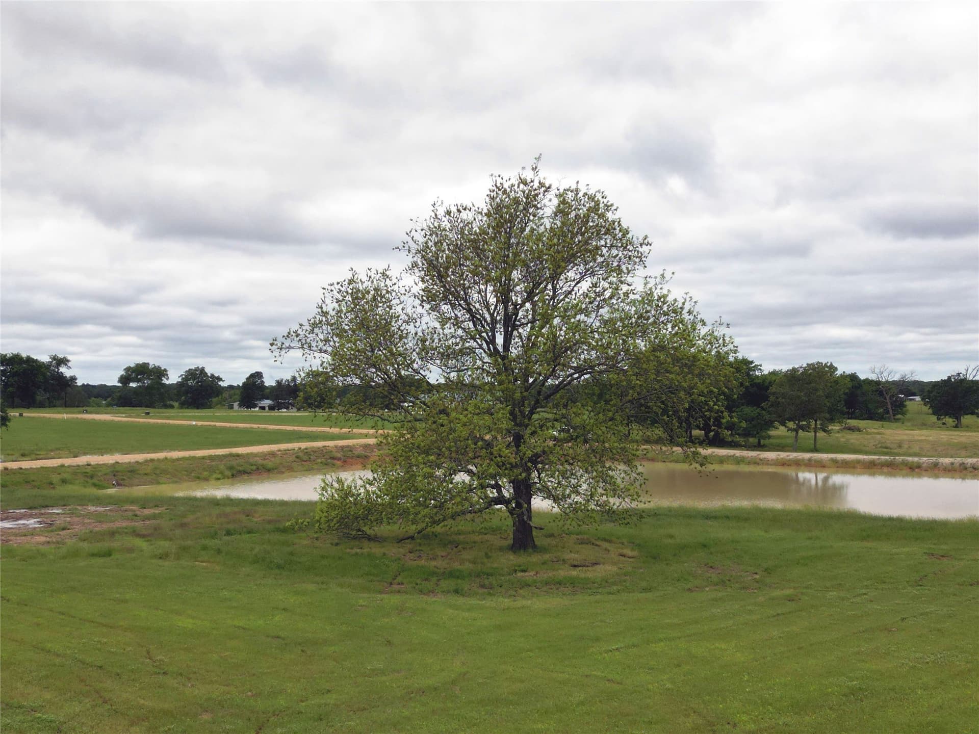 2.98 acres in Wood County - photo 5