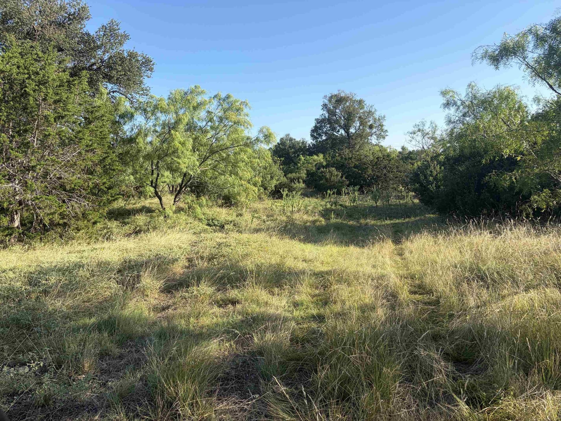 168.51 acres in Burnet County - photo 6