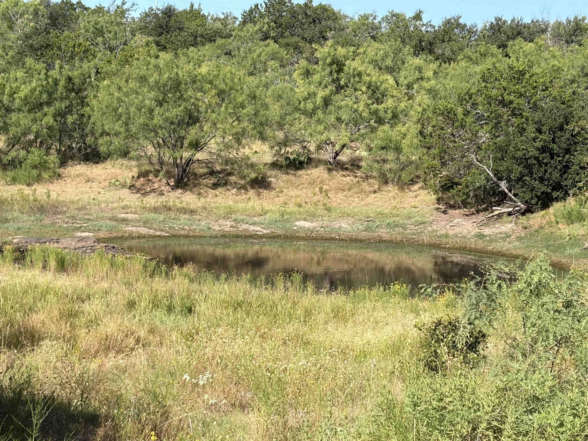168.51 acres in Burnet County - photo 16