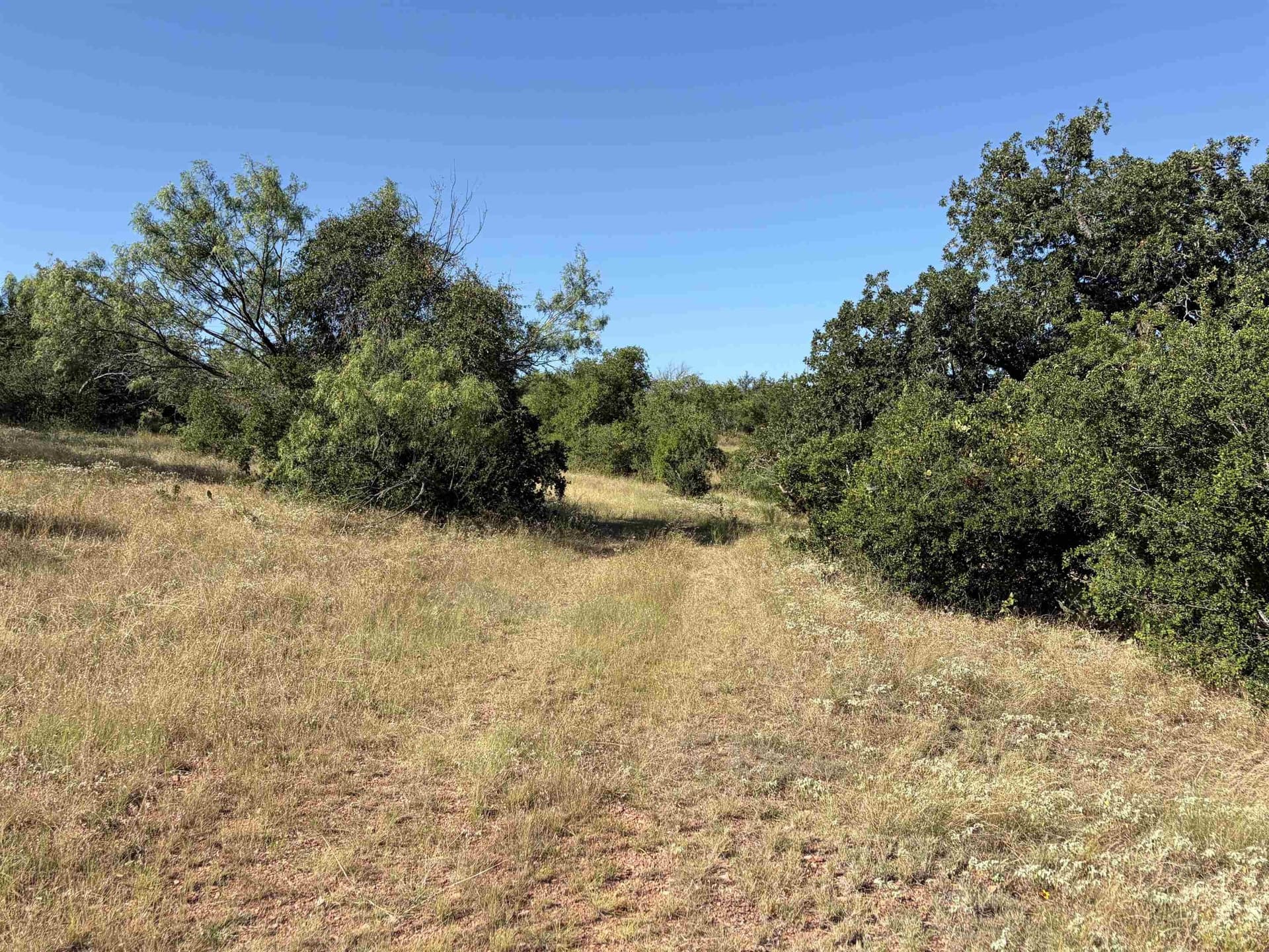 168.51 acres in Burnet County - photo 15
