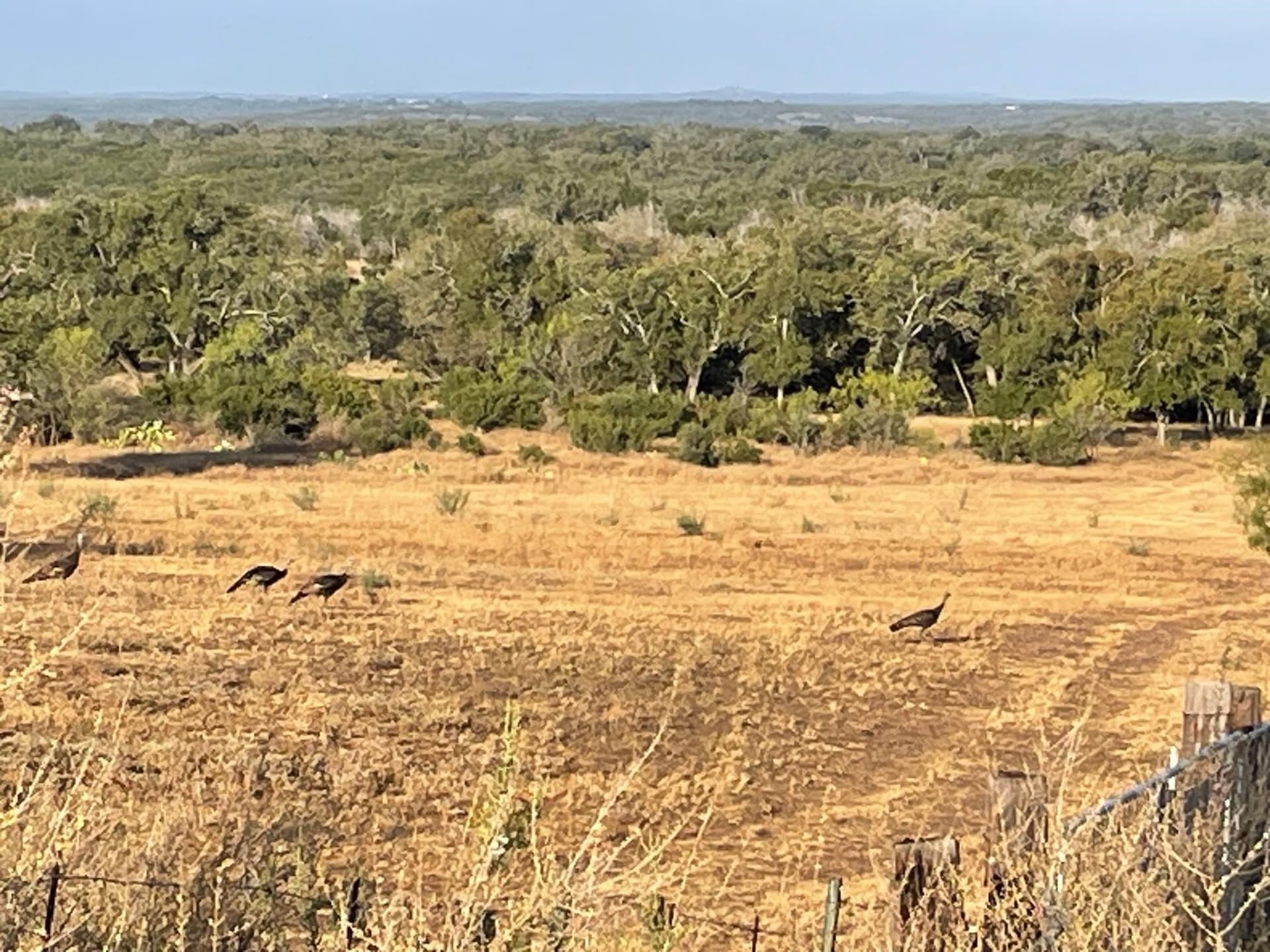 168.51 acres in Burnet County - photo 21