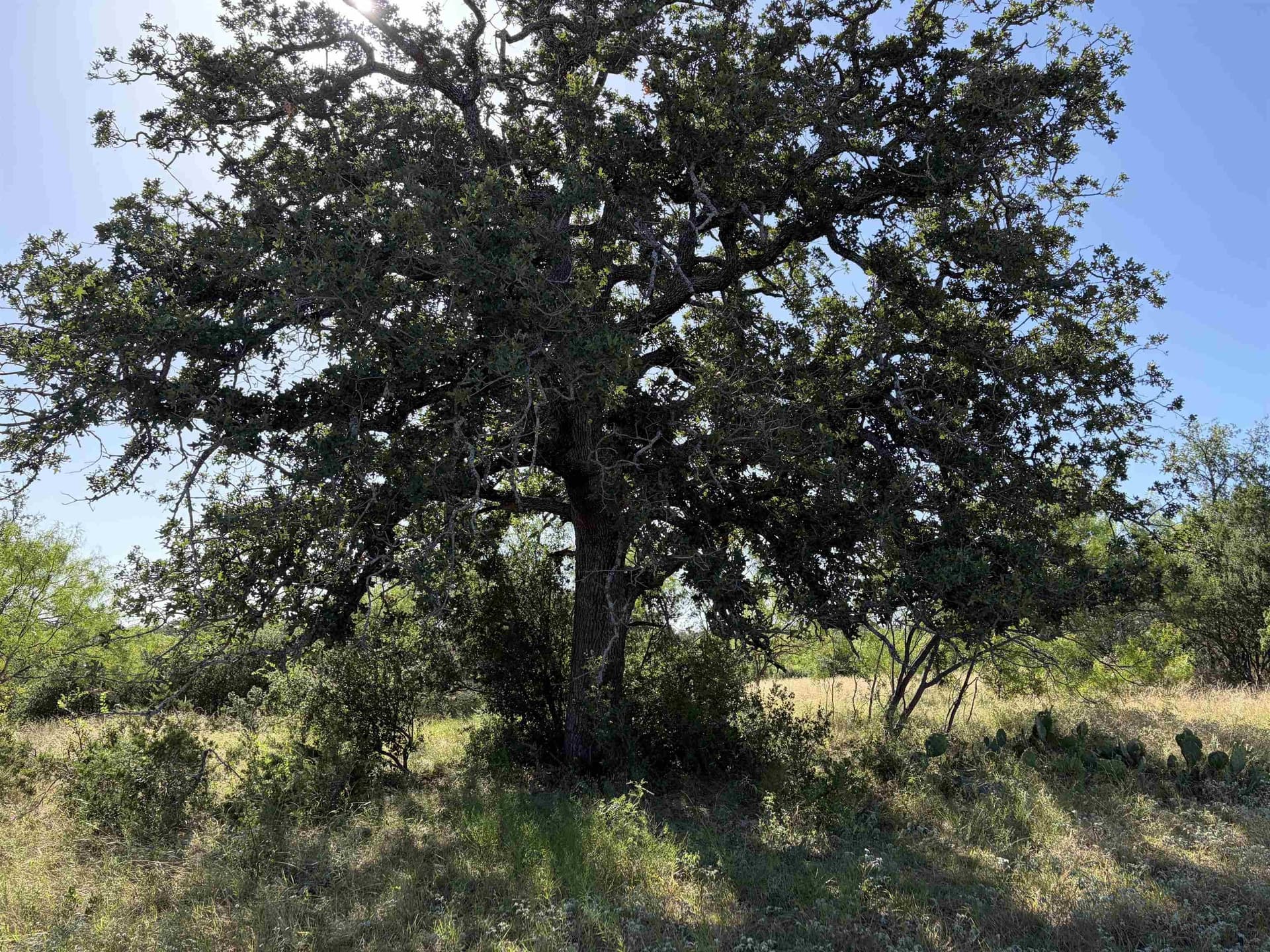 168.51 acres in Burnet County - photo 22
