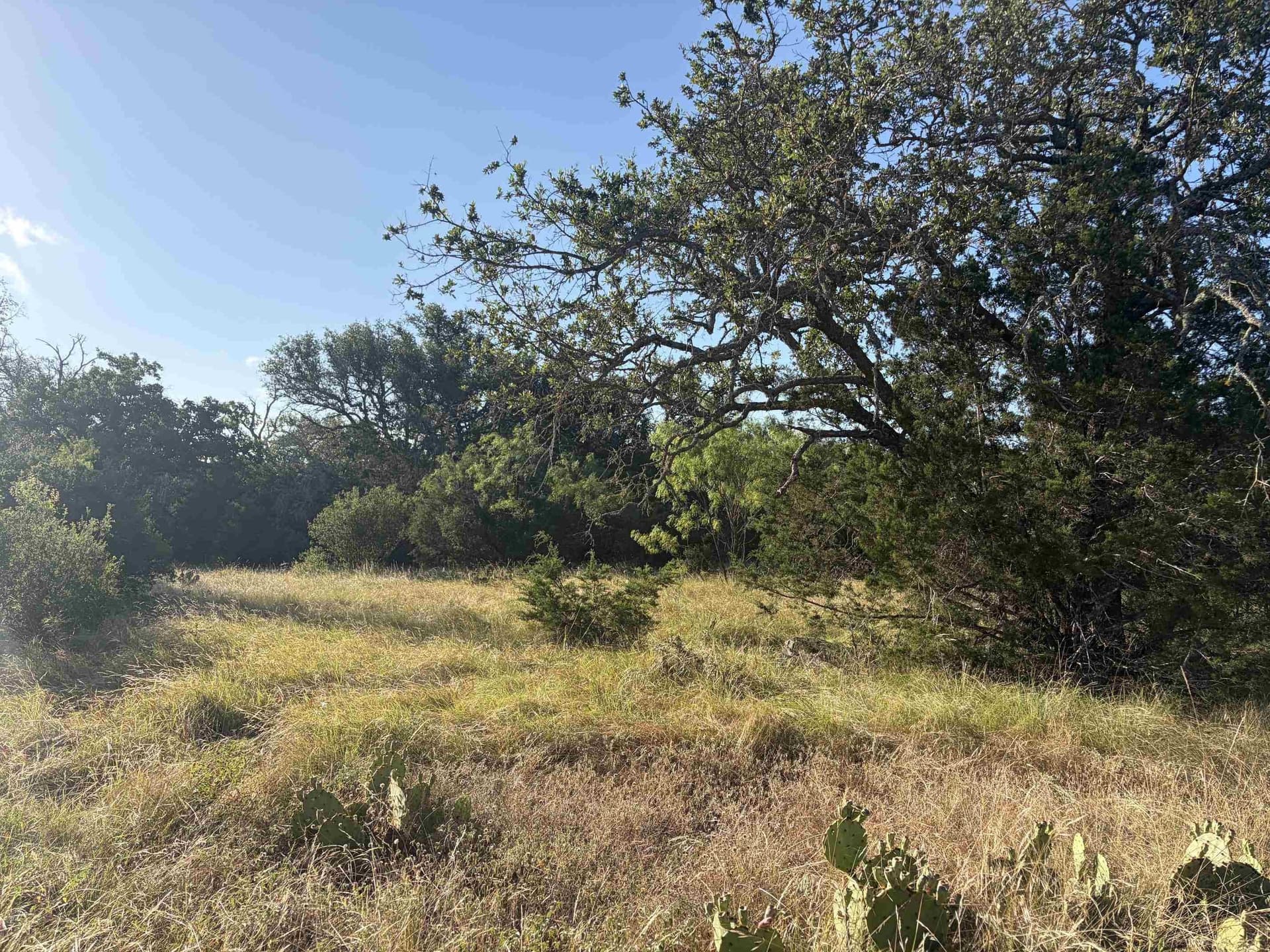 168.51 acres in Burnet County - photo 7