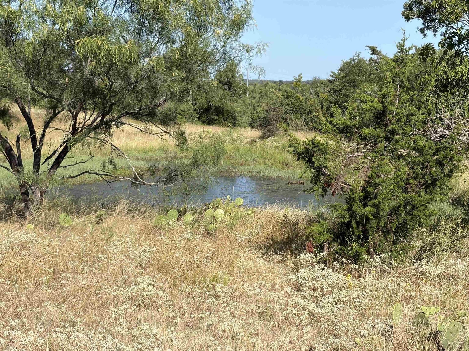 168.51 acres in Burnet County - photo 17