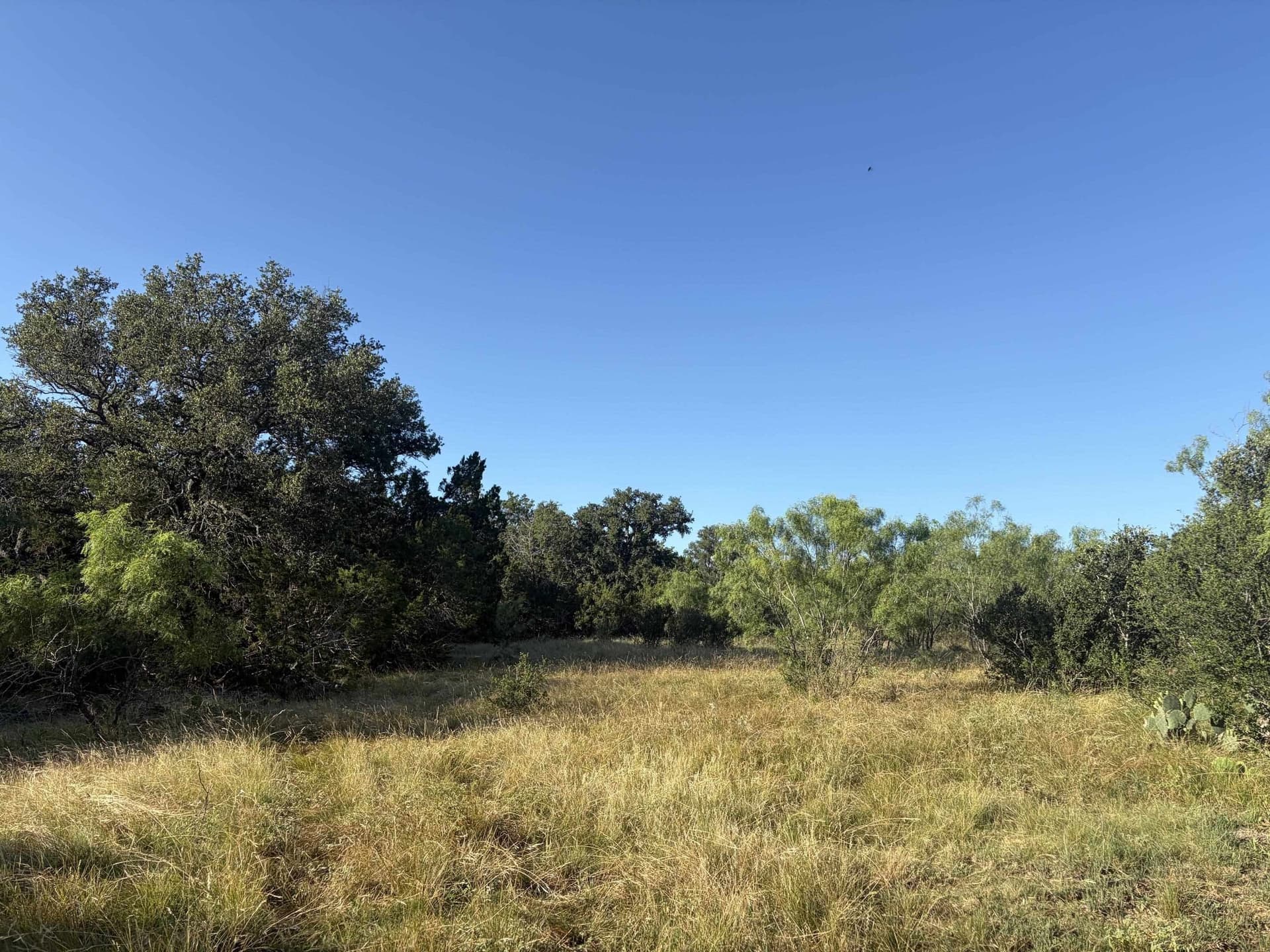 168.51 acres in Burnet County - photo 8