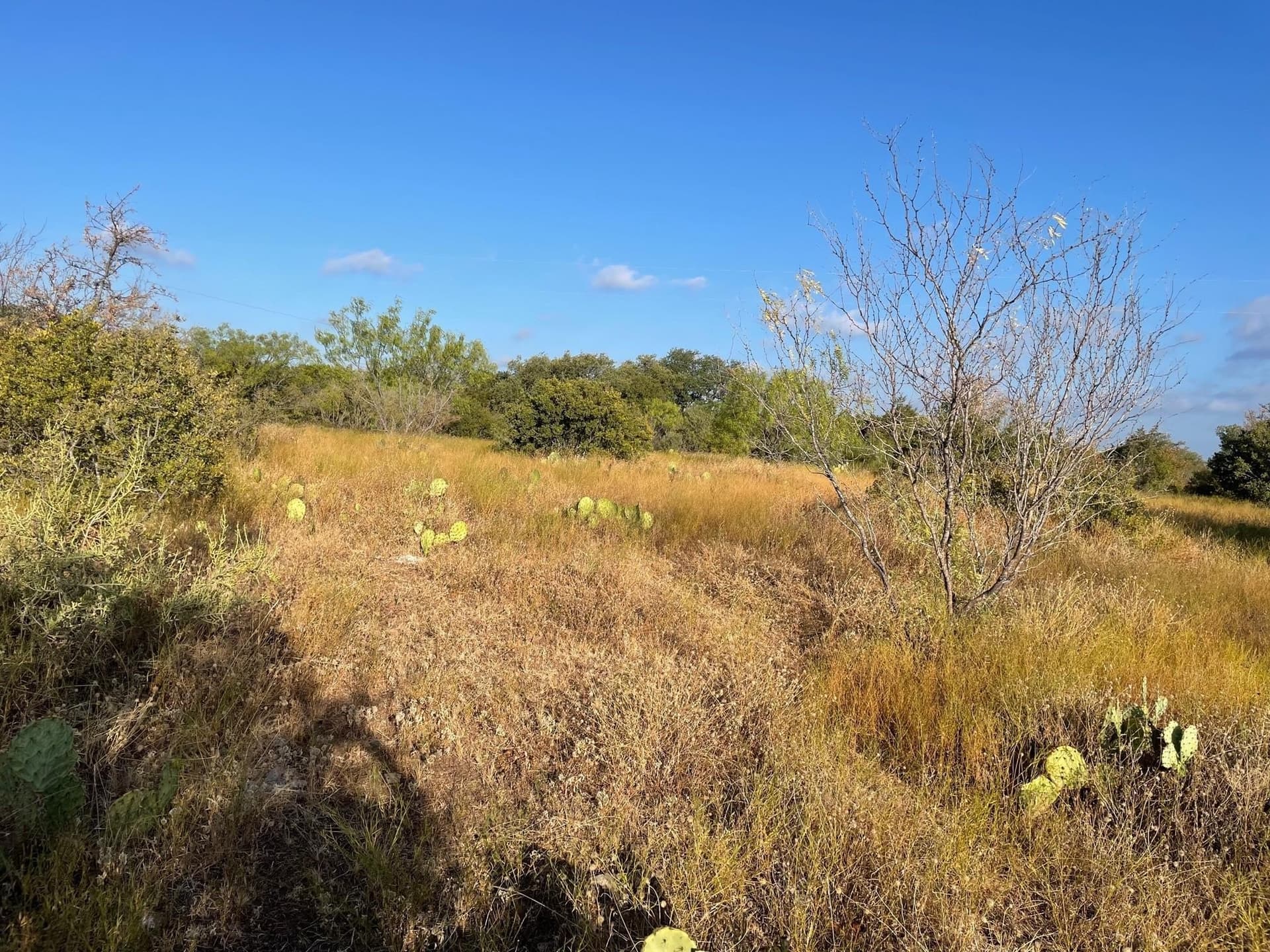 168.51 acres in Burnet County - photo 18