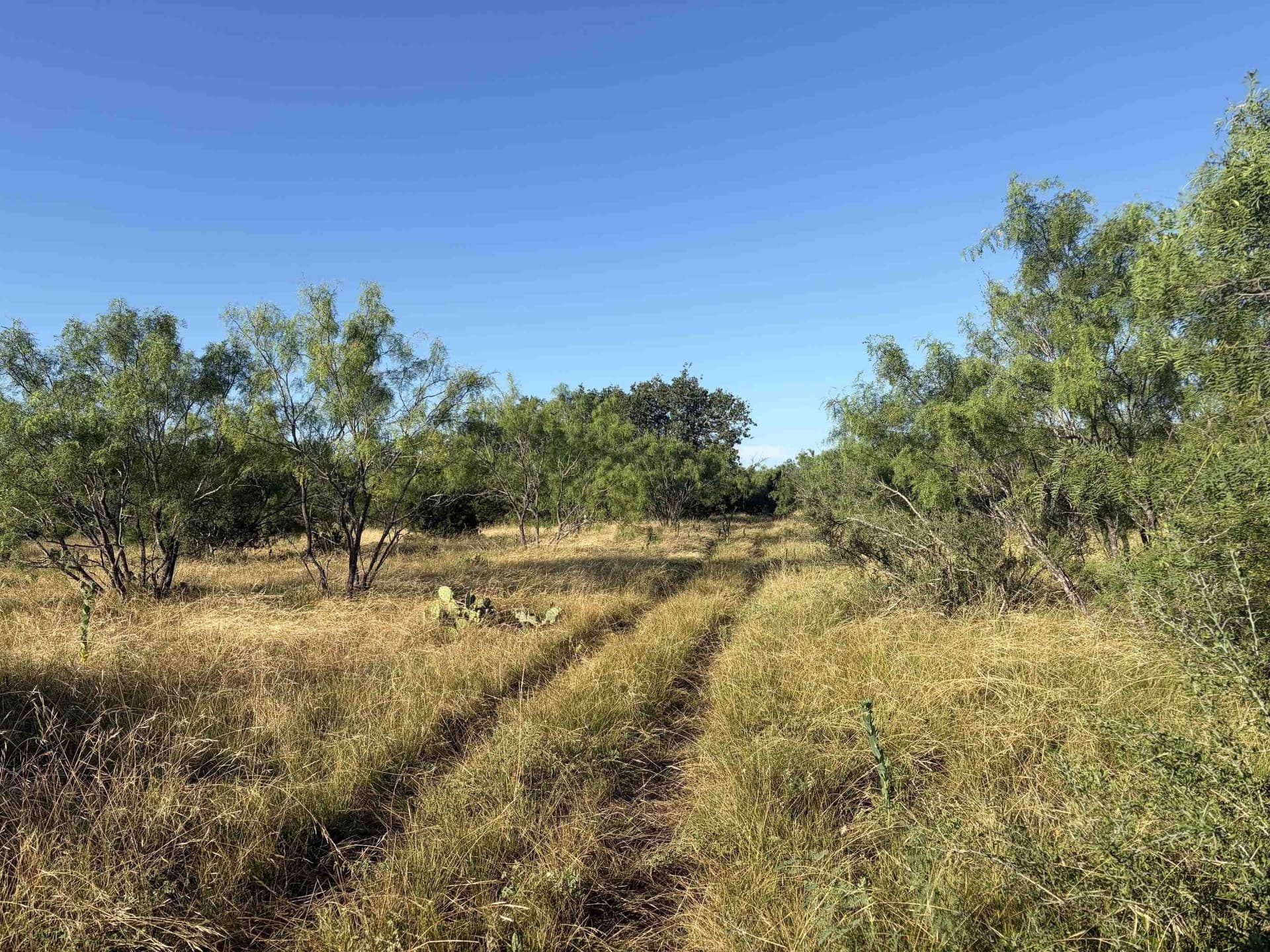168.51 acres in Burnet County featured view
