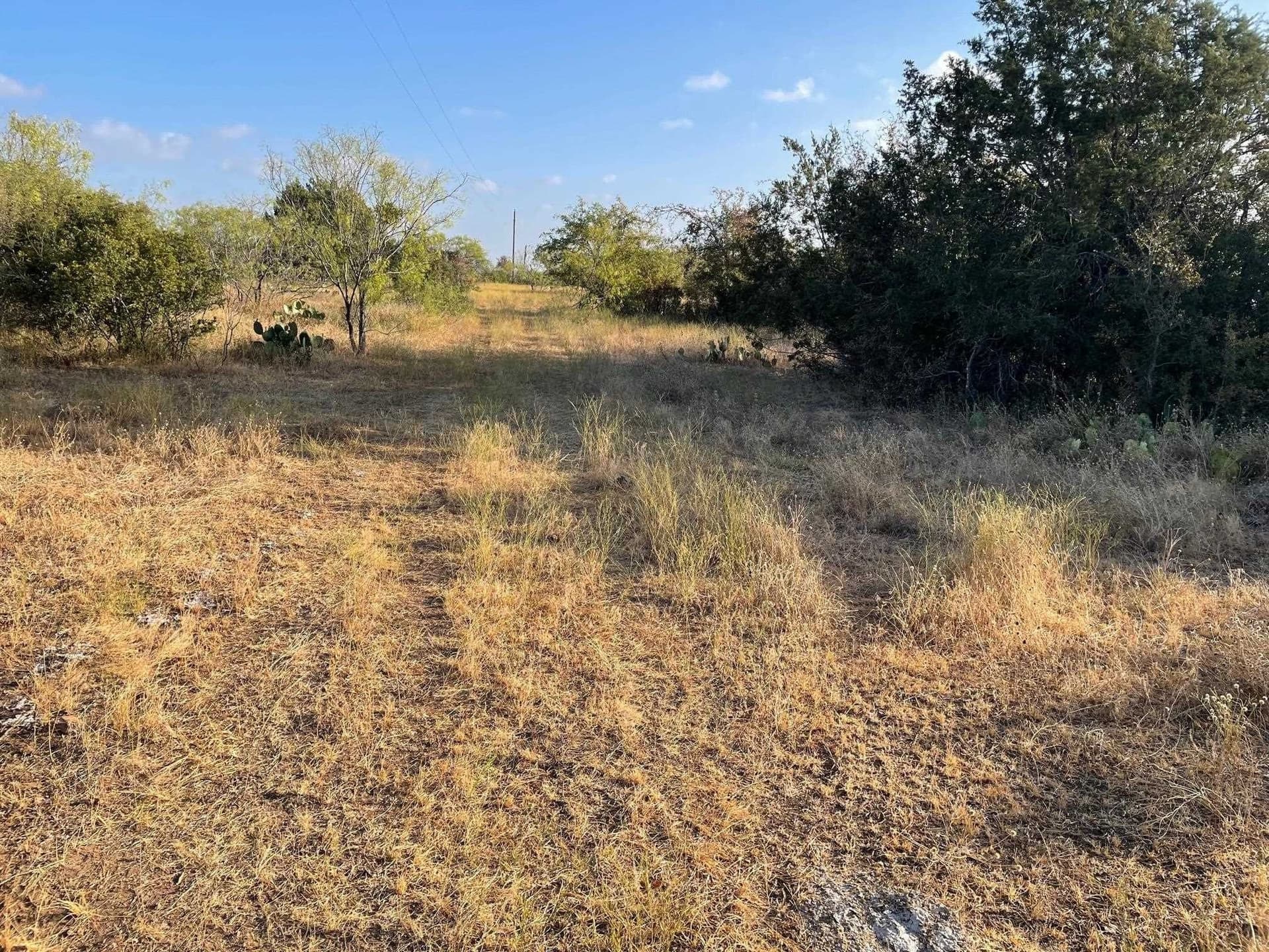 168.51 acres in Burnet County - photo 19