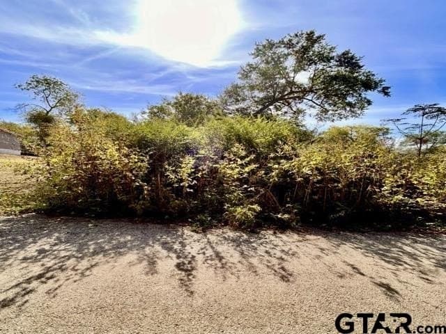 0.11 acres in Rusk County - photo 2
