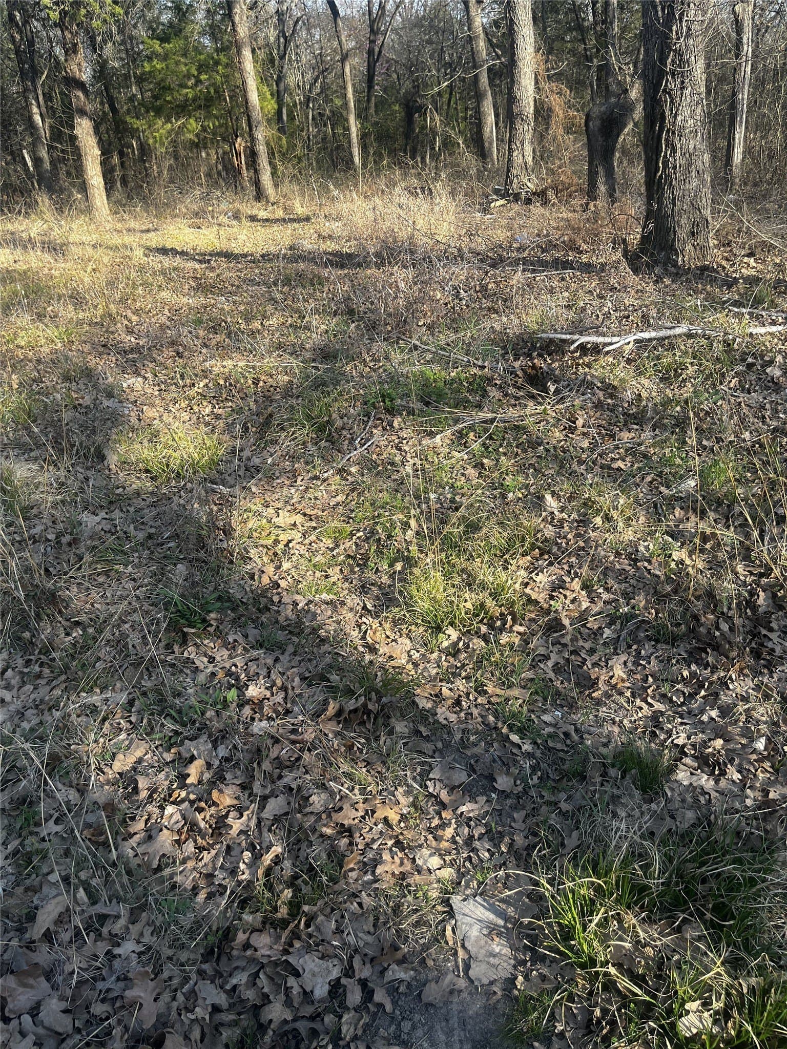 0.15 acres in Henderson County