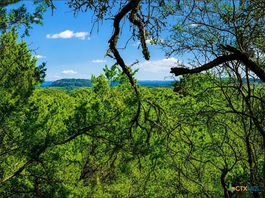 11 acres in Hays County gallery image 2