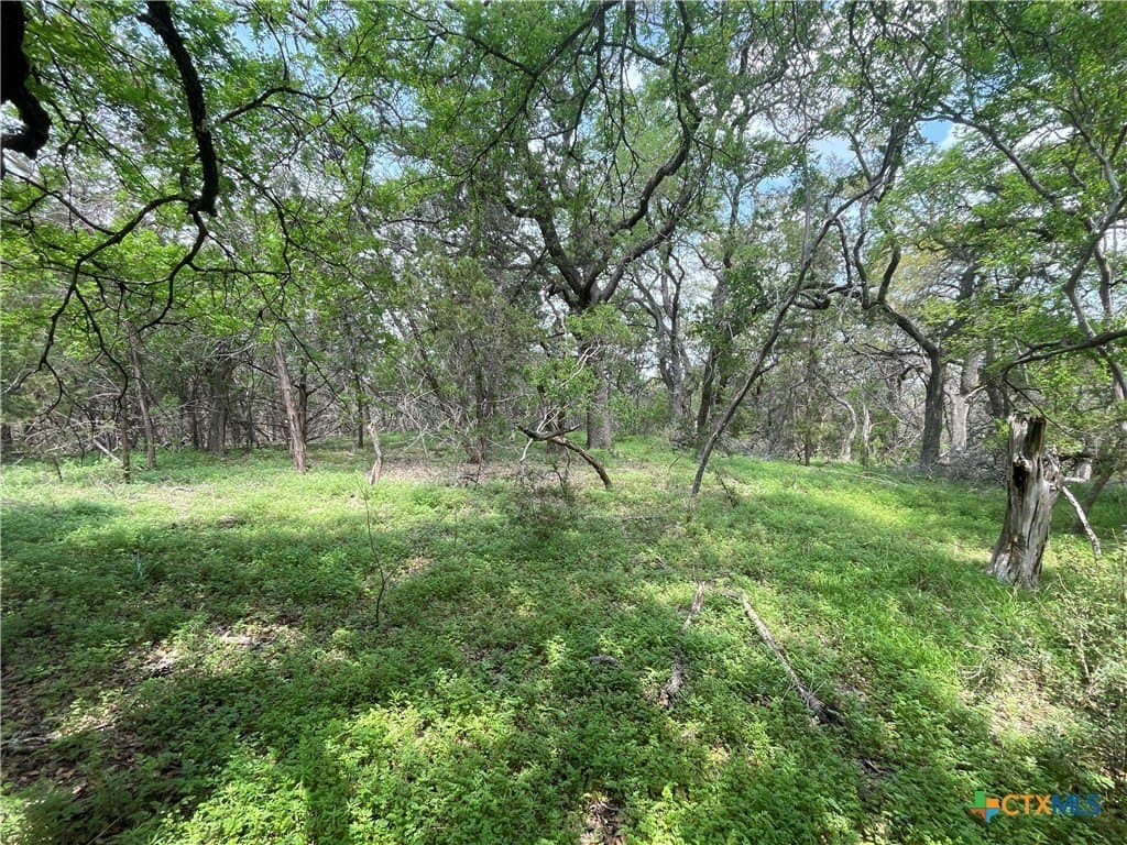 11 acres in Hays County featured view