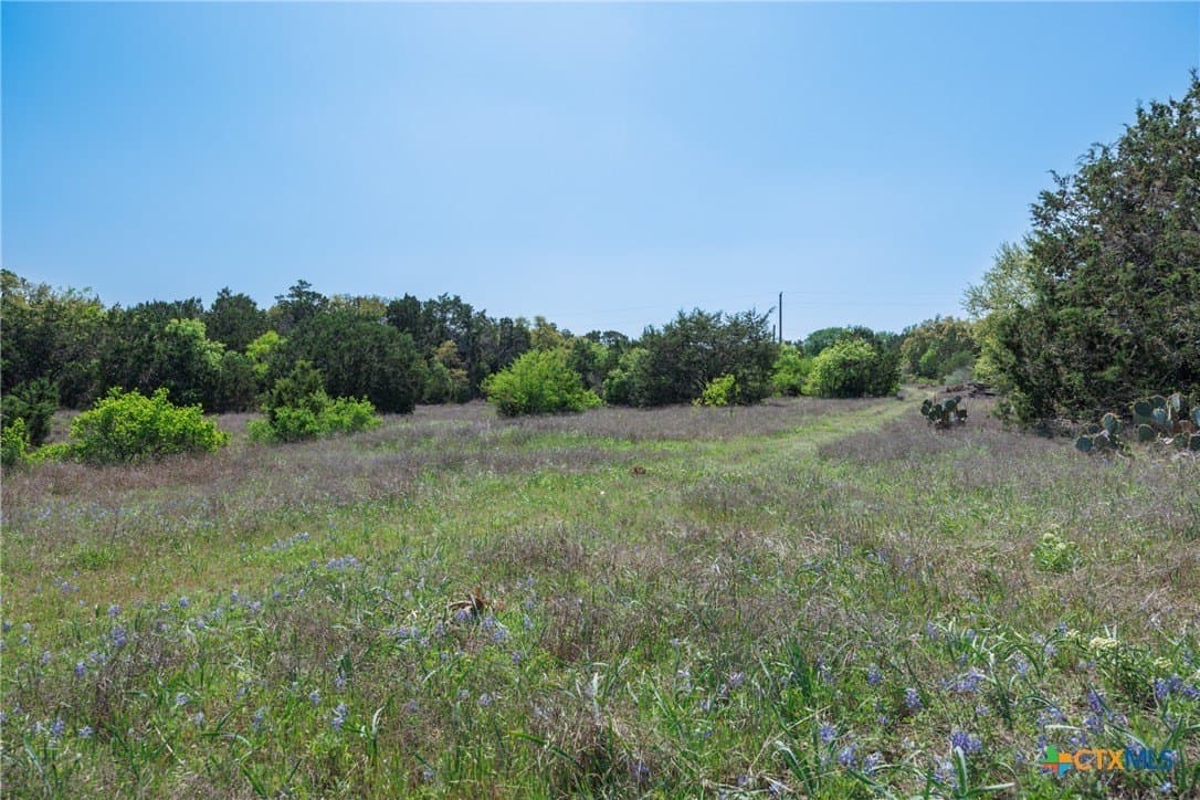 11 acres in Hays County - photo 8