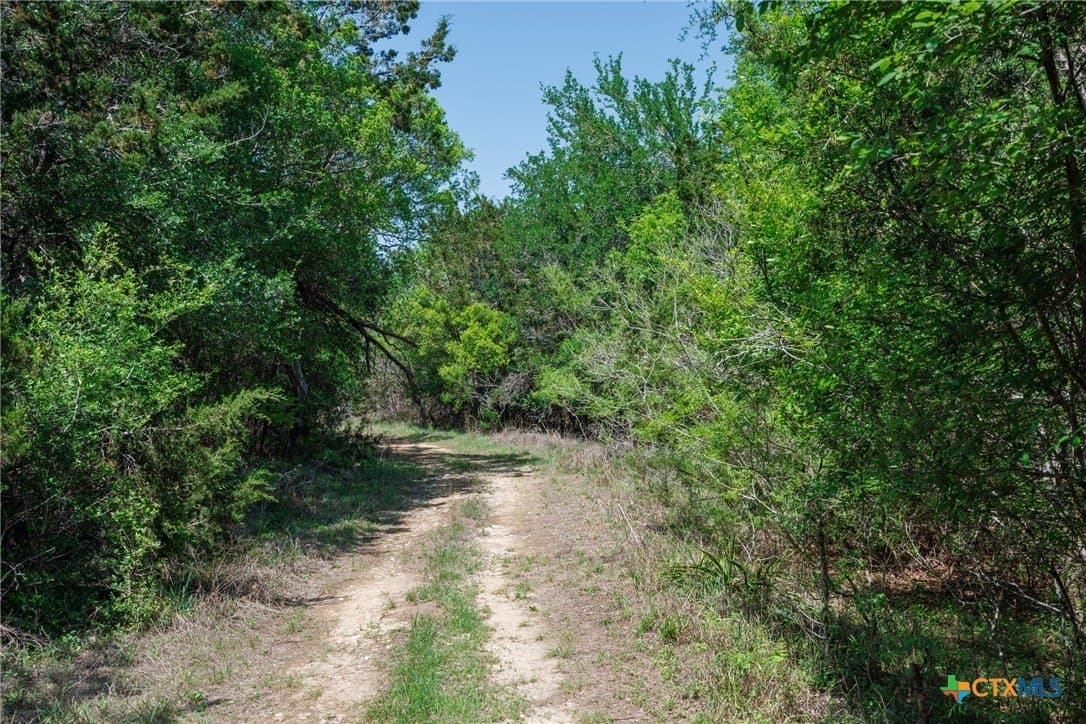 11 acres in Hays County - photo 7