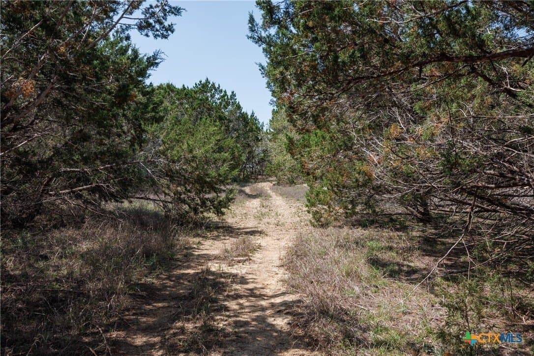 11 acres in Hays County - photo 9
