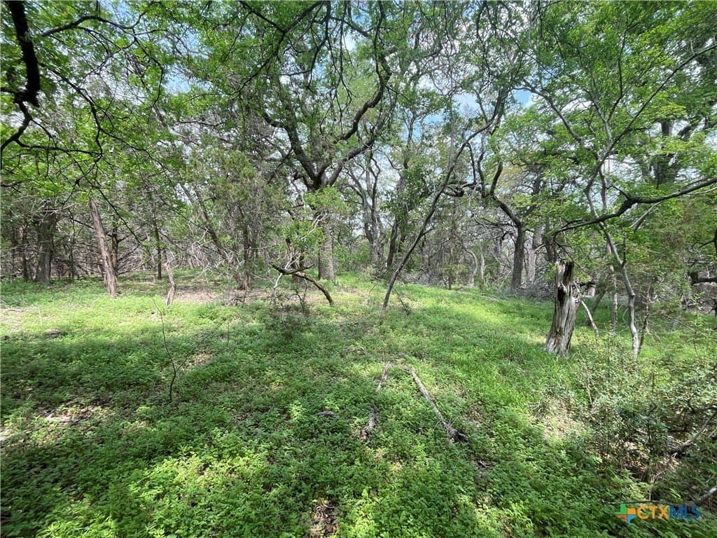 11 acres in Hays County - photo 6