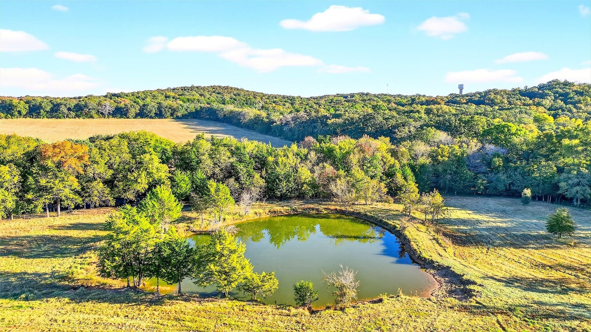 39.81 acres in Grayson County - photo 18