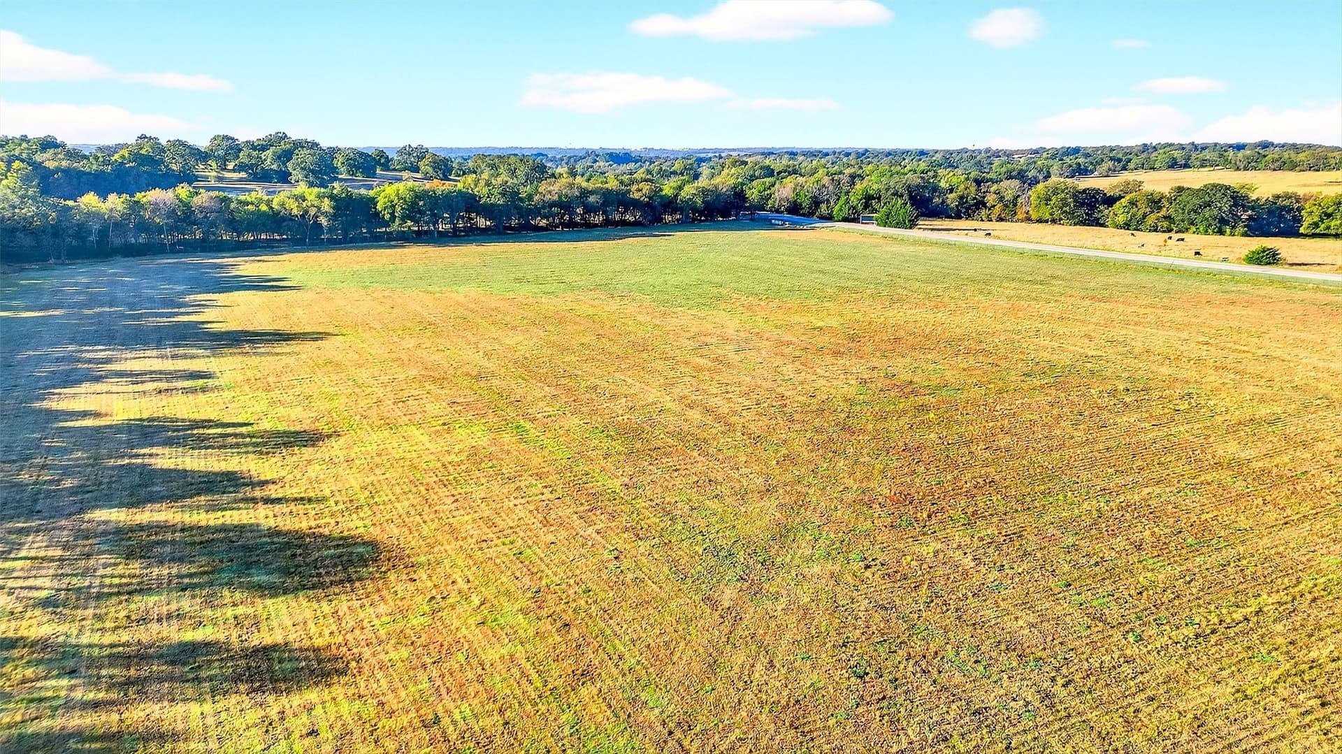 39.81 acres in Grayson County - photo 19