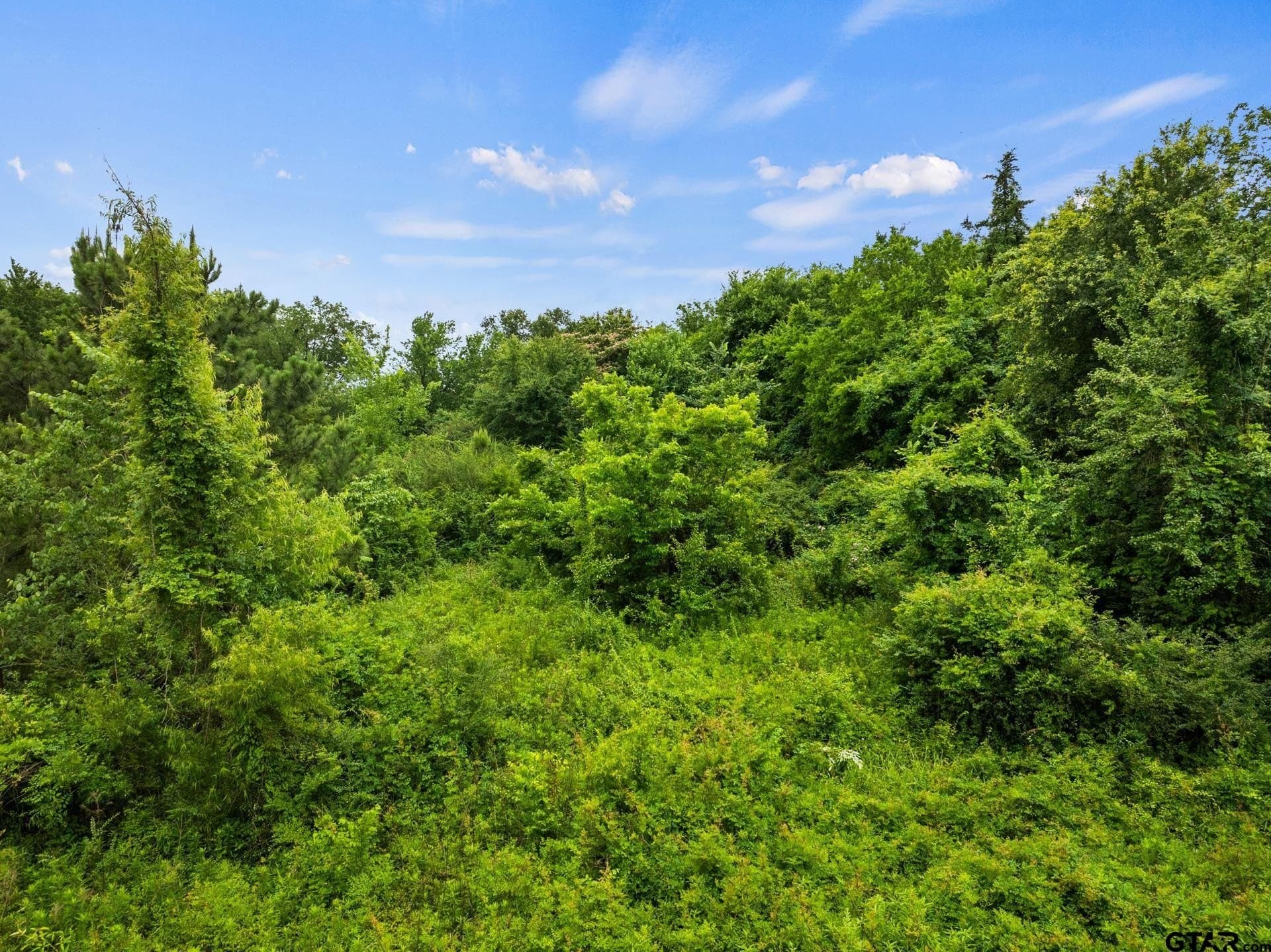 3.73 acres in Franklin County - photo 4