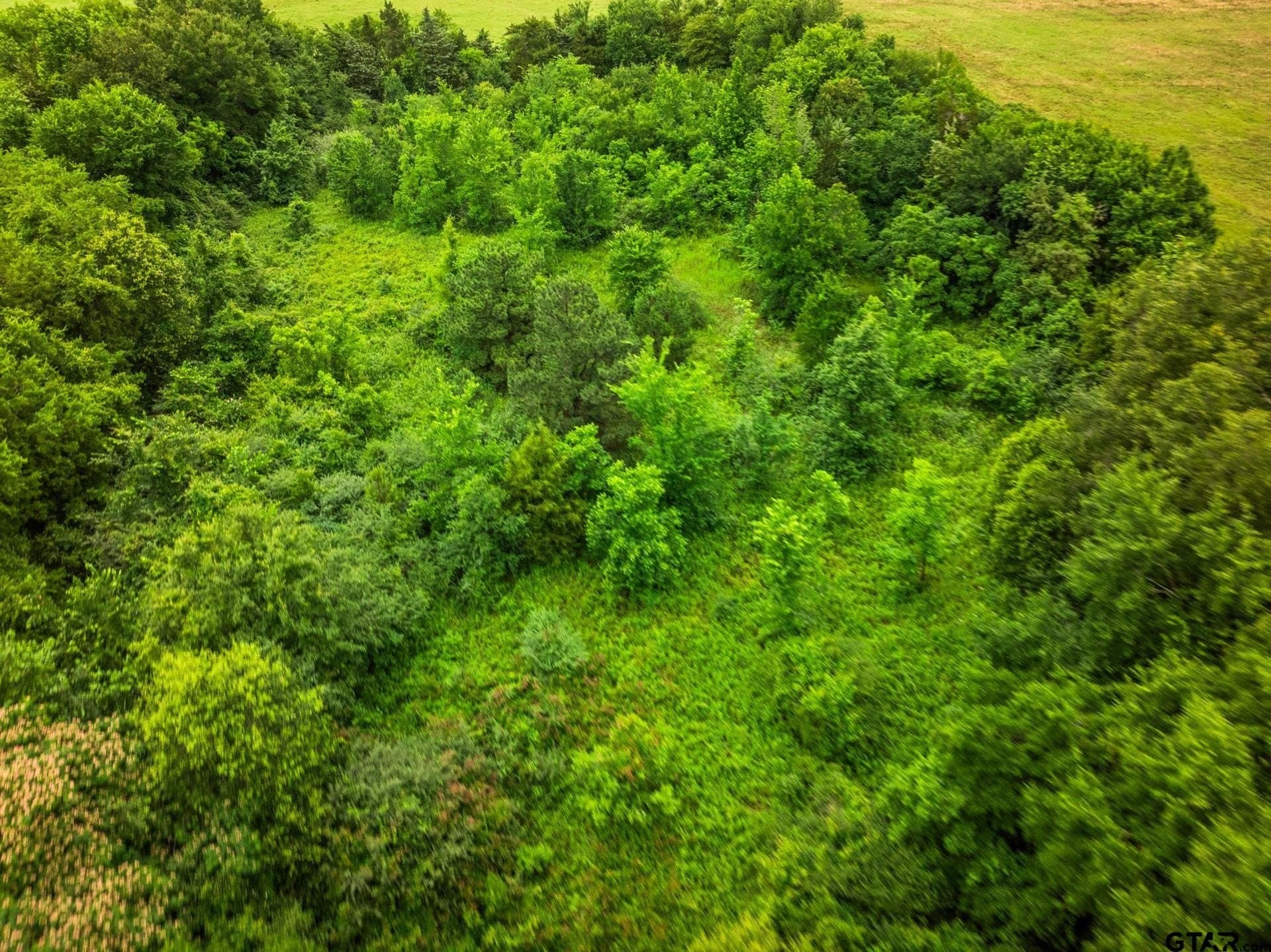 3.73 acres in Franklin County - photo 6