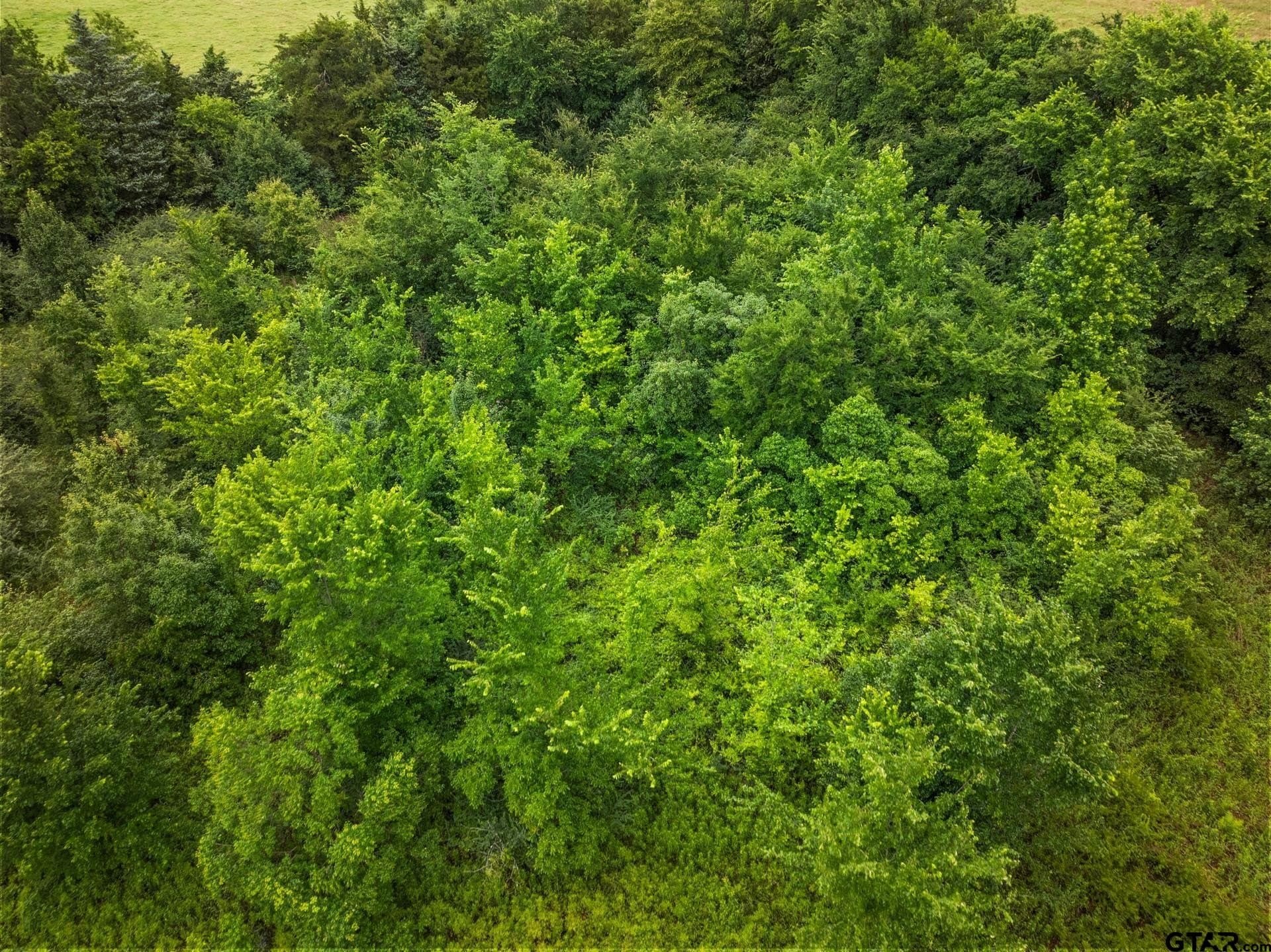 3.73 acres in Franklin County - photo 7