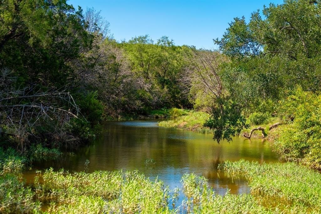 1,475 acres in Coleman County gallery image 3
