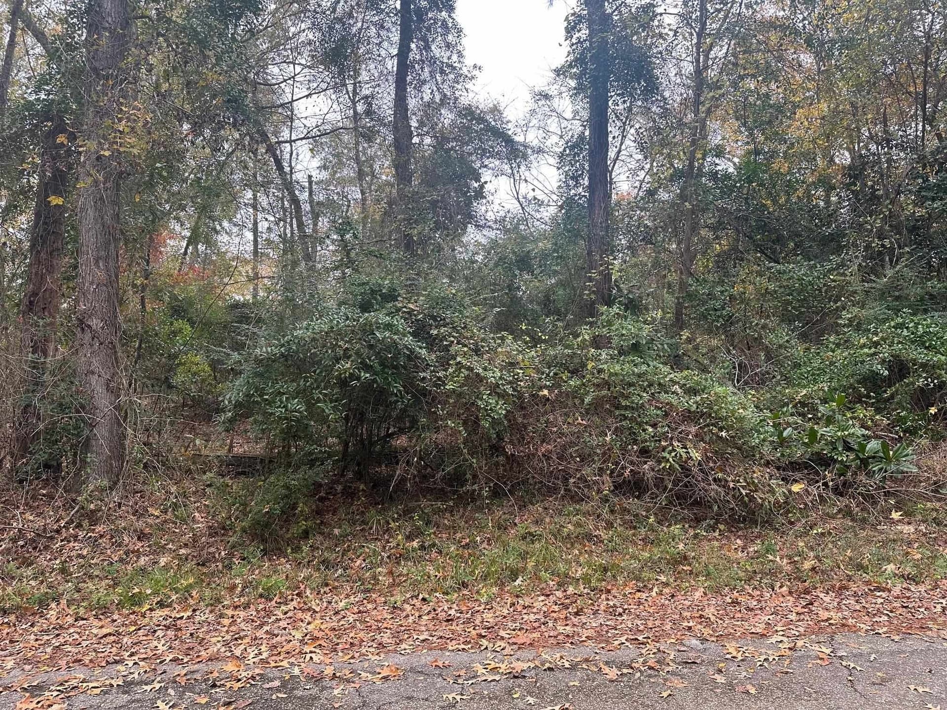0.38 acres in Gregg County gallery image 2