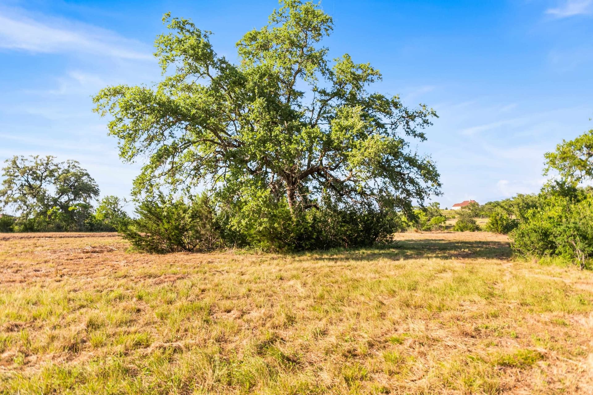 4.05 acres in Burnet County - photo 16