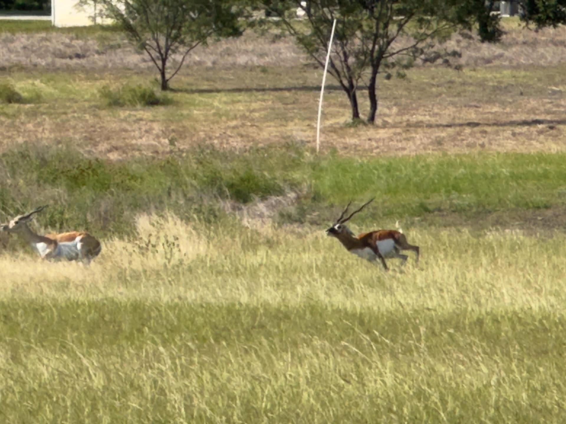 4.05 acres in Burnet County - photo 37
