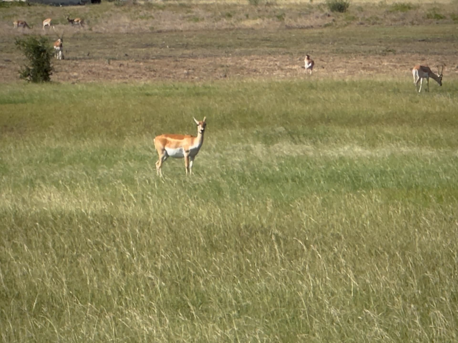 4.05 acres in Burnet County - photo 38