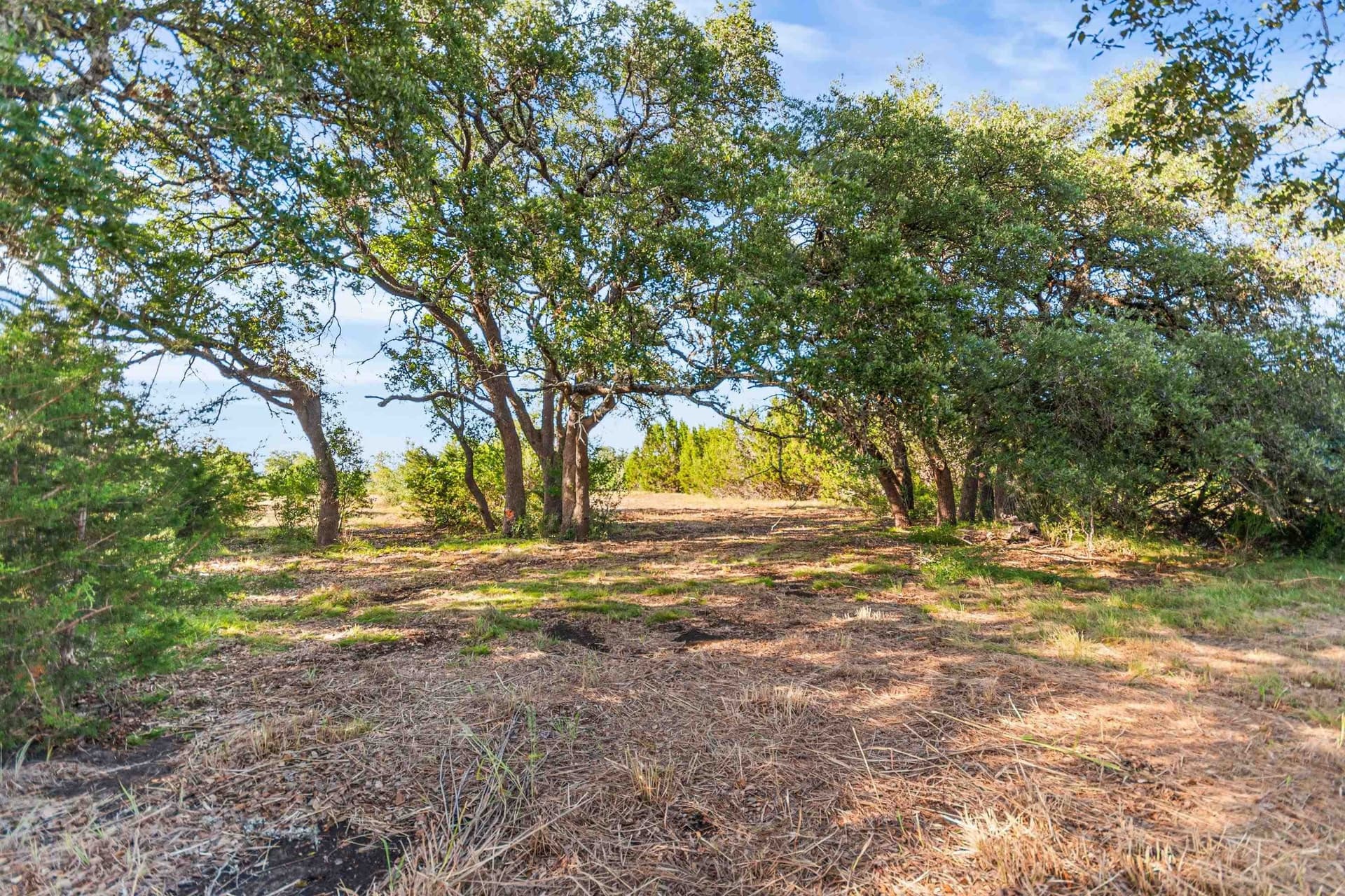 4.05 acres in Burnet County - photo 32