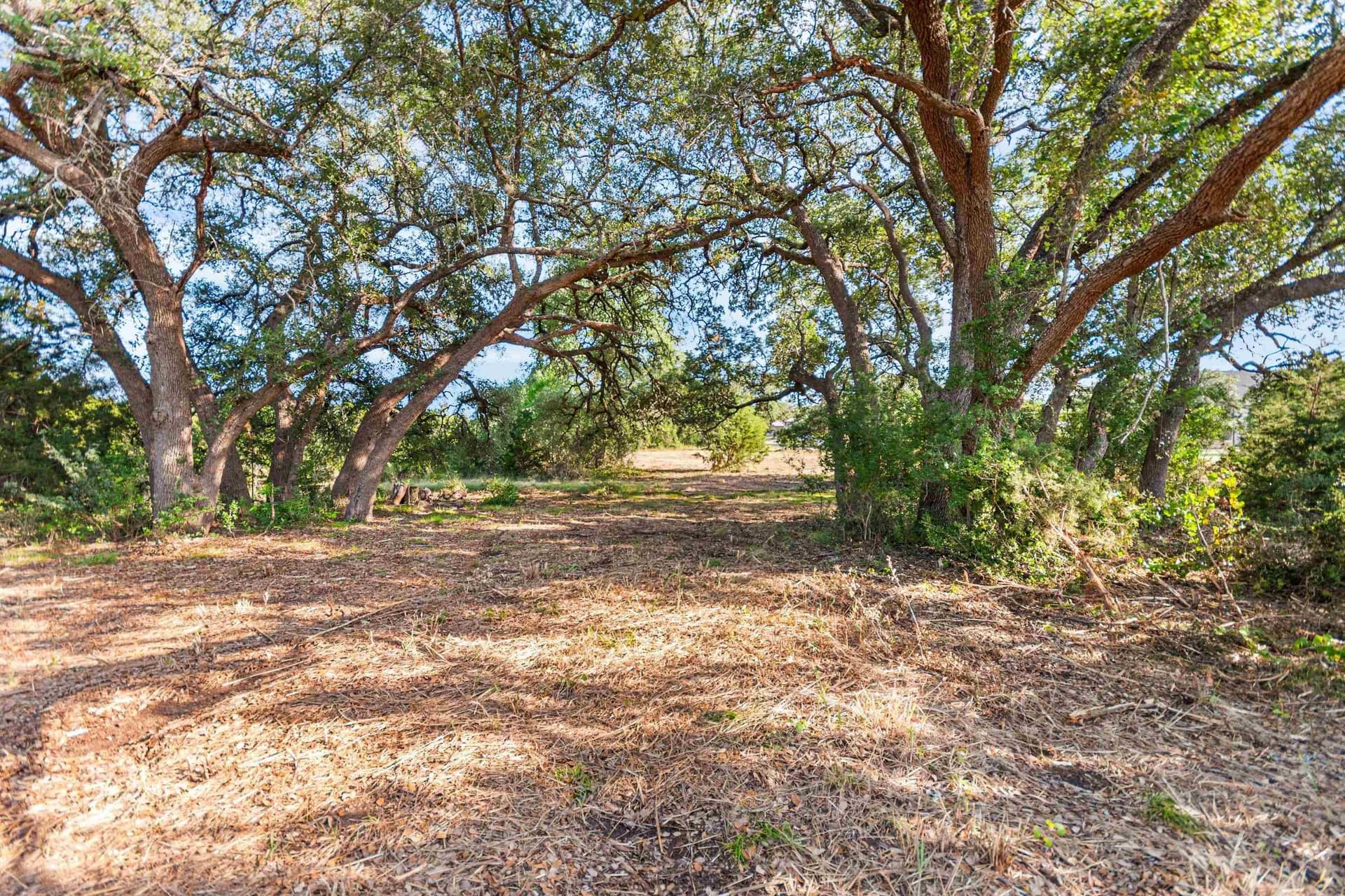 4.05 acres in Burnet County gallery image 2