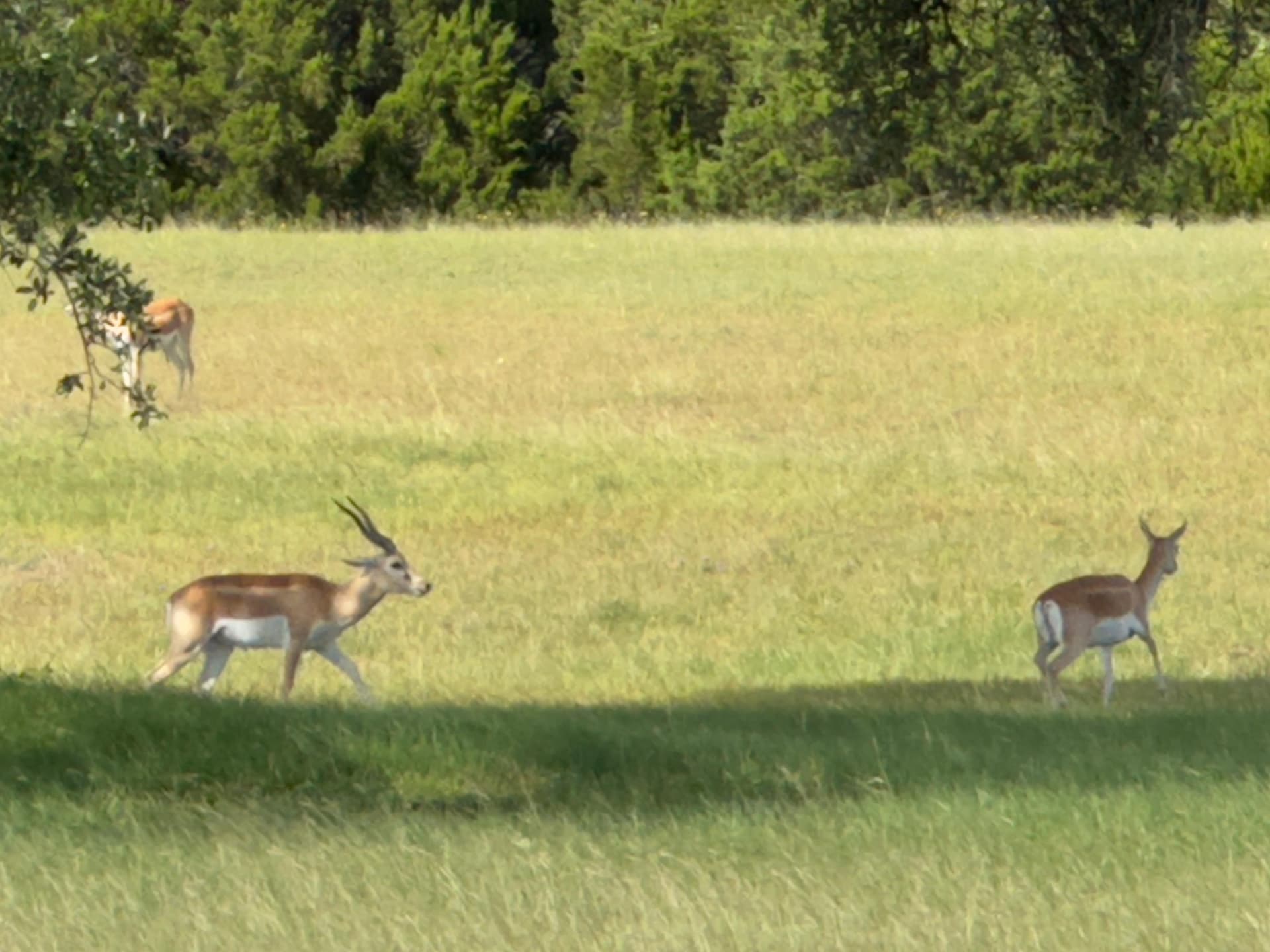 4.05 acres in Burnet County - photo 36