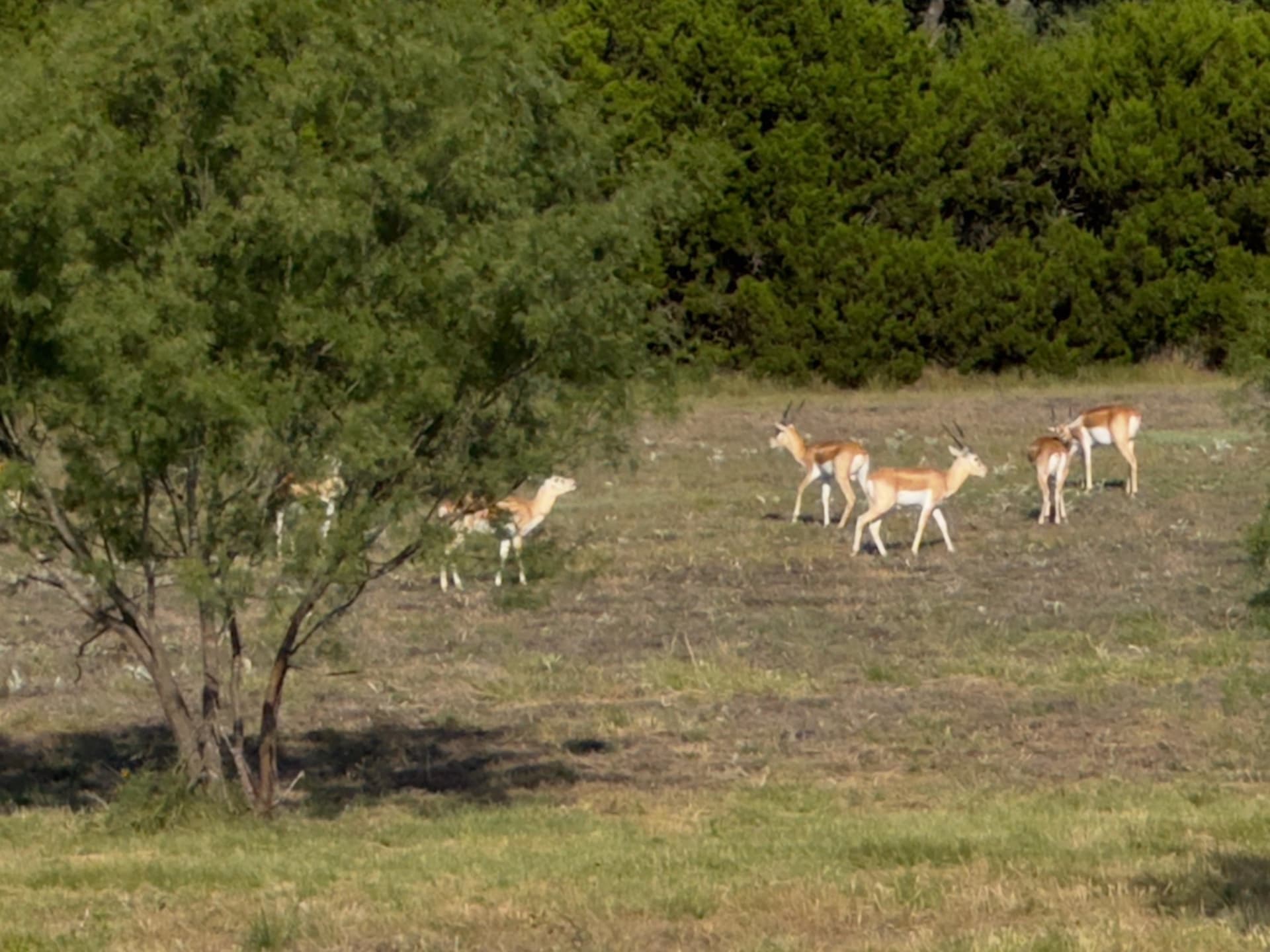4.05 acres in Burnet County - photo 39
