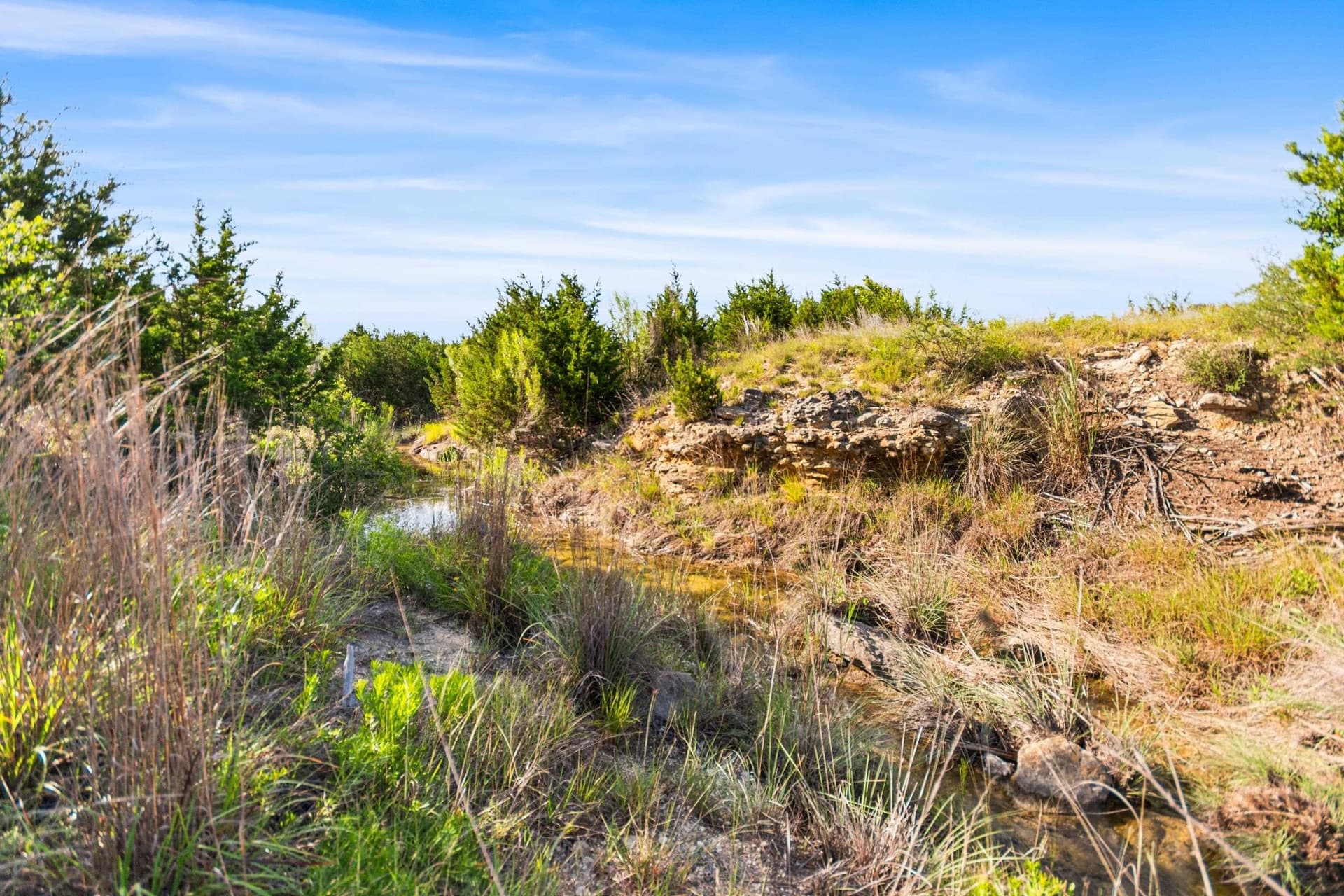 4.05 acres in Burnet County gallery image 3