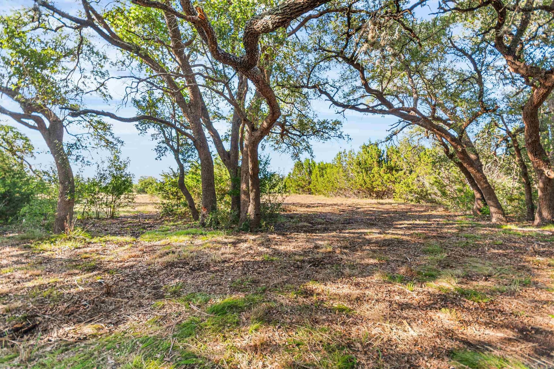 4.05 acres in Burnet County - photo 31