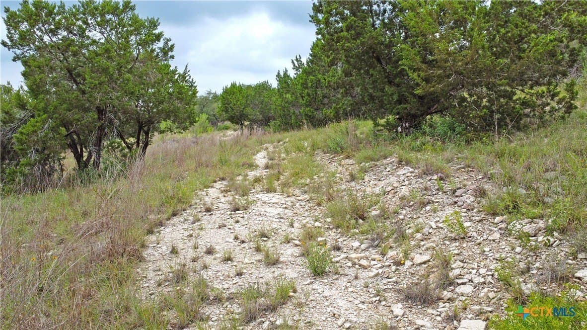 0.78 acres in Comal County - photo 8
