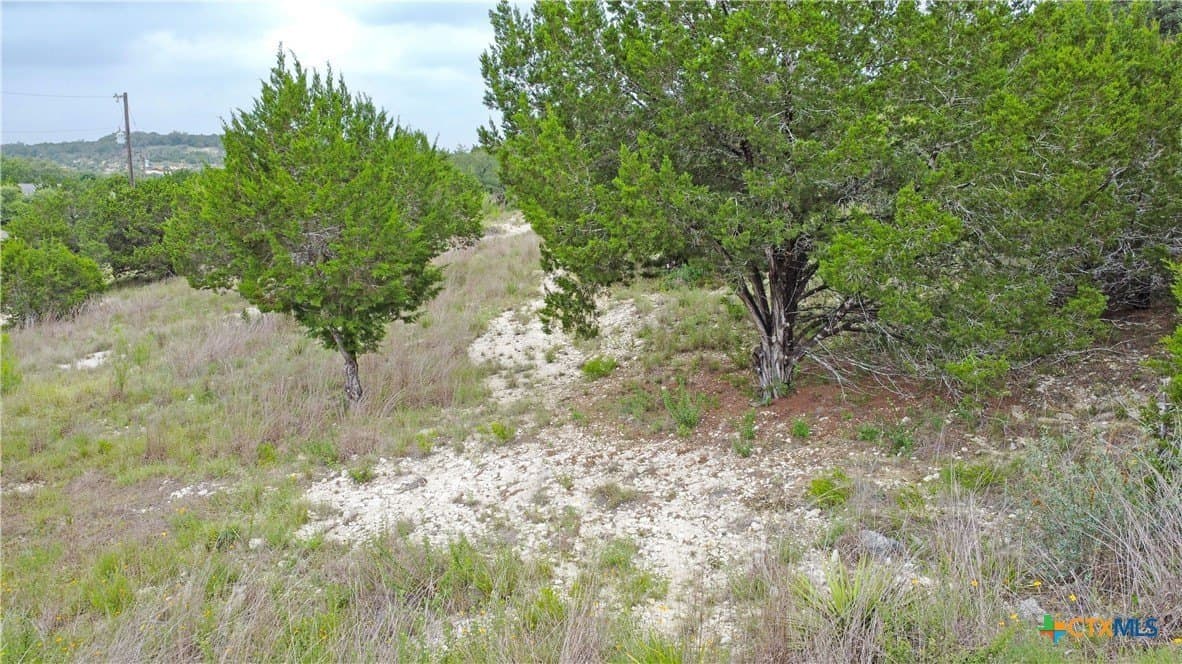 0.78 acres in Comal County gallery image 4