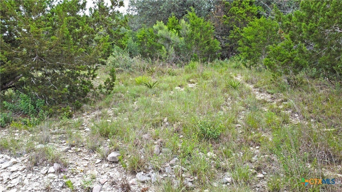 0.78 acres in Comal County - photo 9